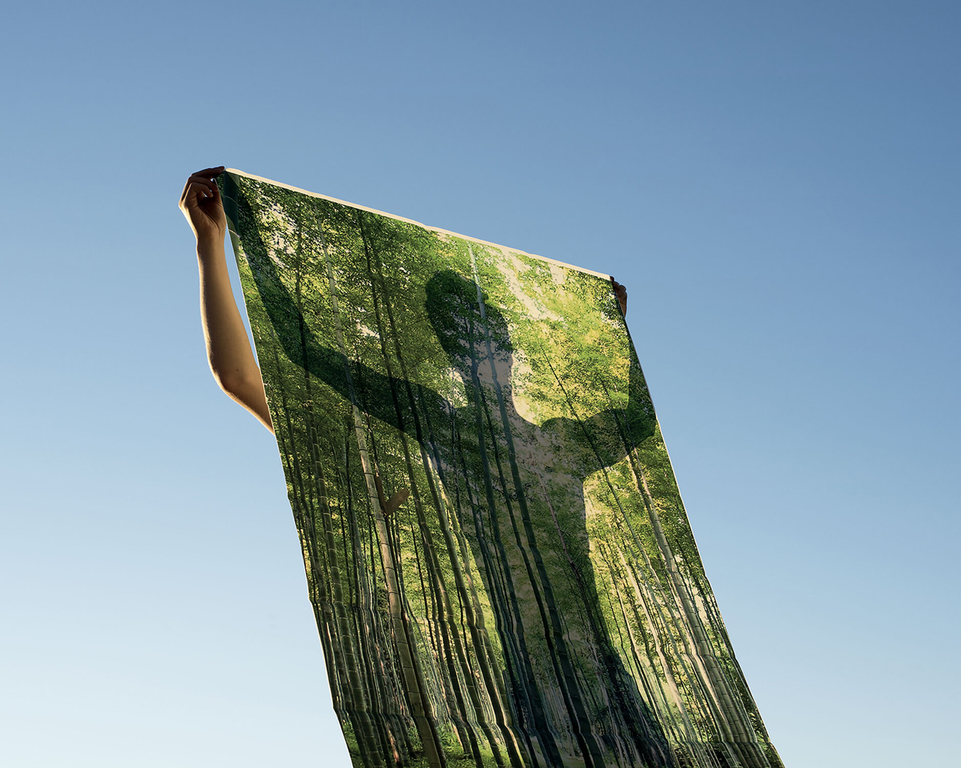 Tapestry_1500.jpg