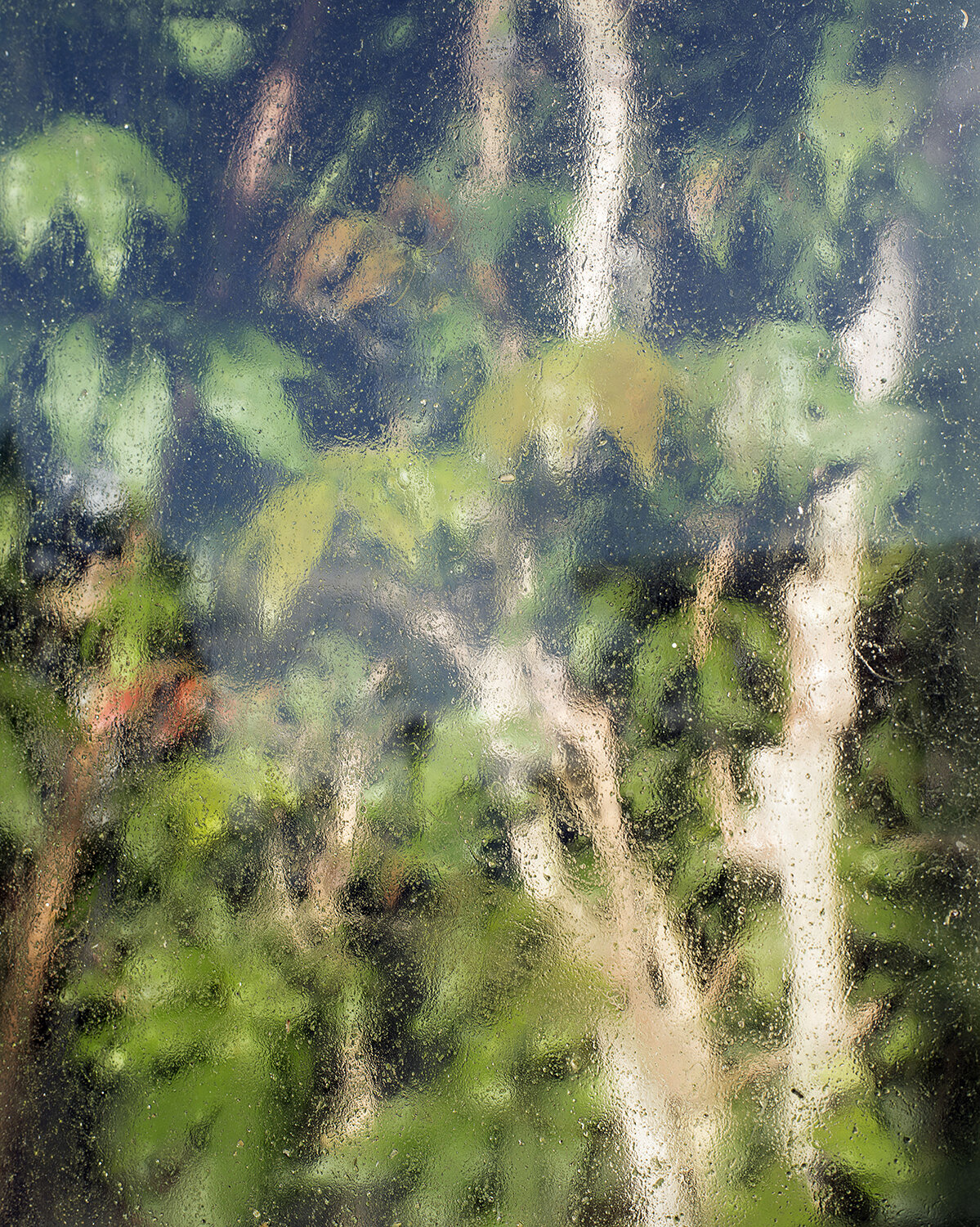 Wet_Window_1500.jpg