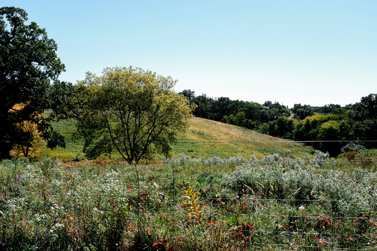 SINGING_HILLS_YY-29.jpg