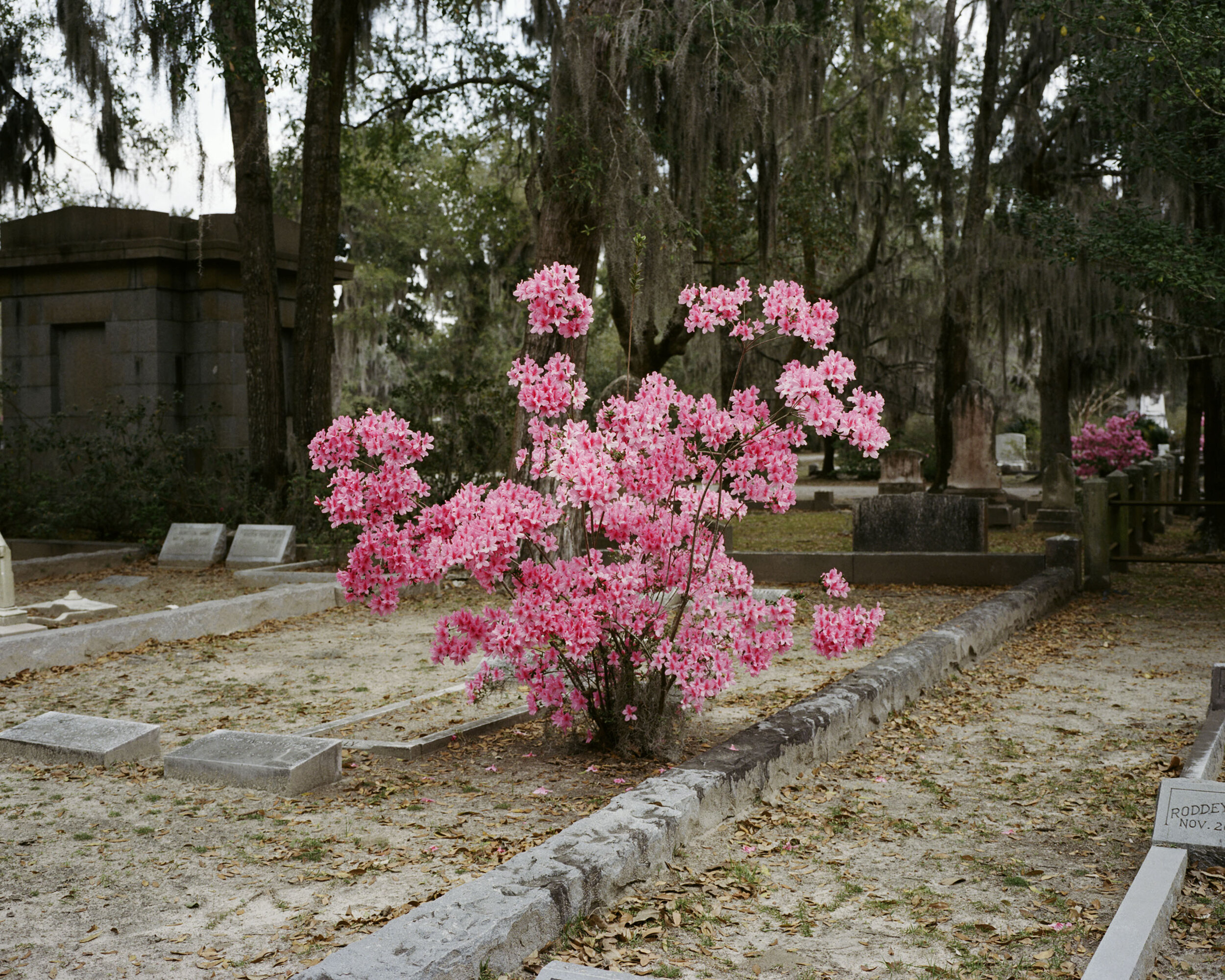 Cemetary_01.jpg