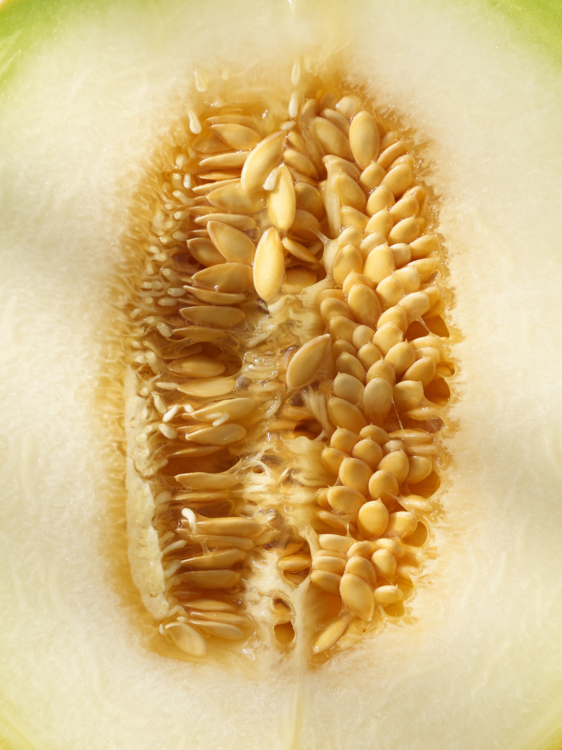 200811_StillLife51469.jpg