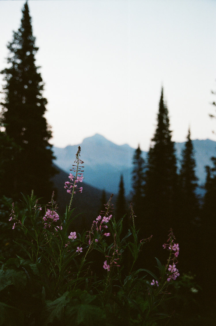 FM_travel_29.jpg