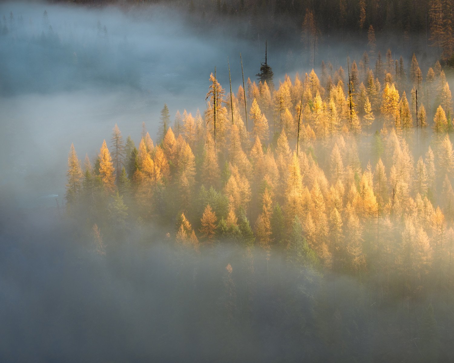 FEM_1131-Edit-2.jpg