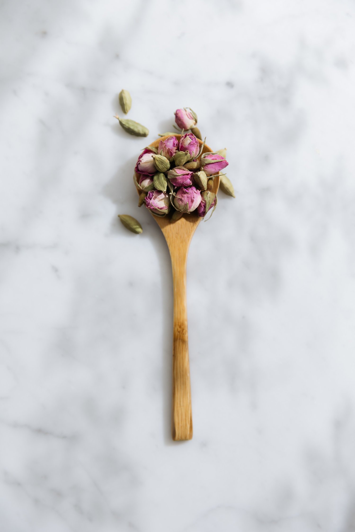 OHM_Still Life_03.jpg