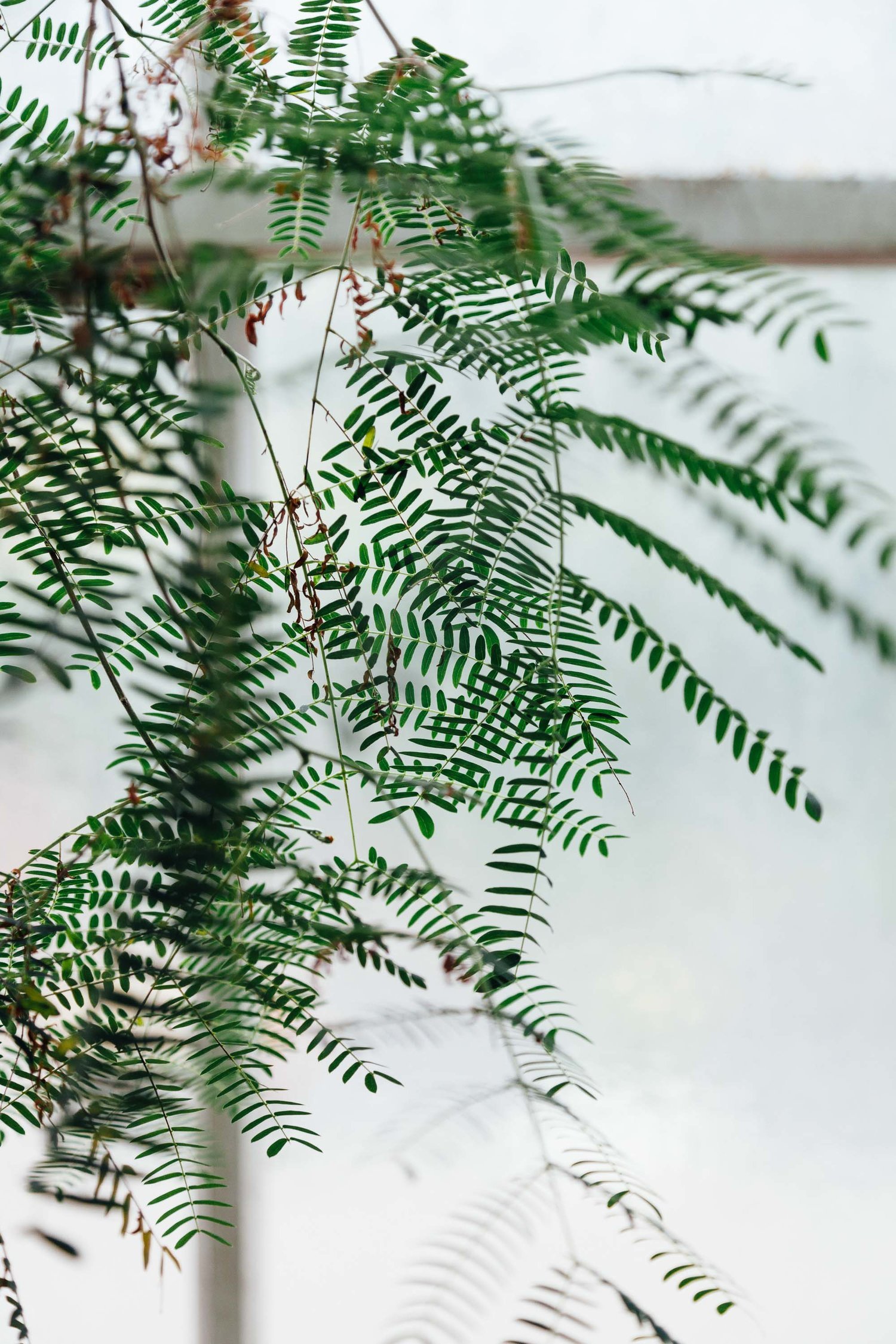 OHM_Still Life_04.jpg