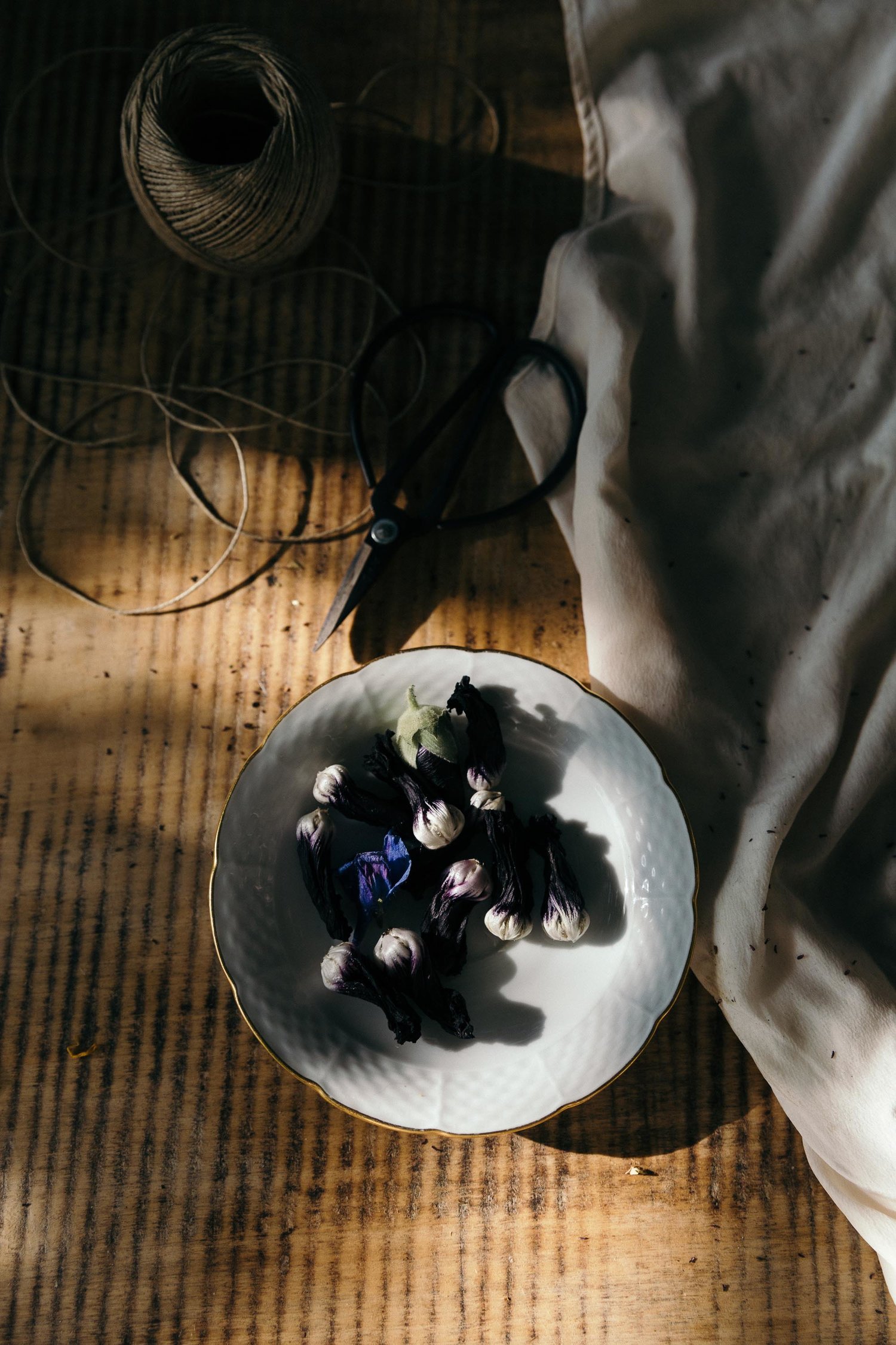 OHM_Still Life_05.jpg