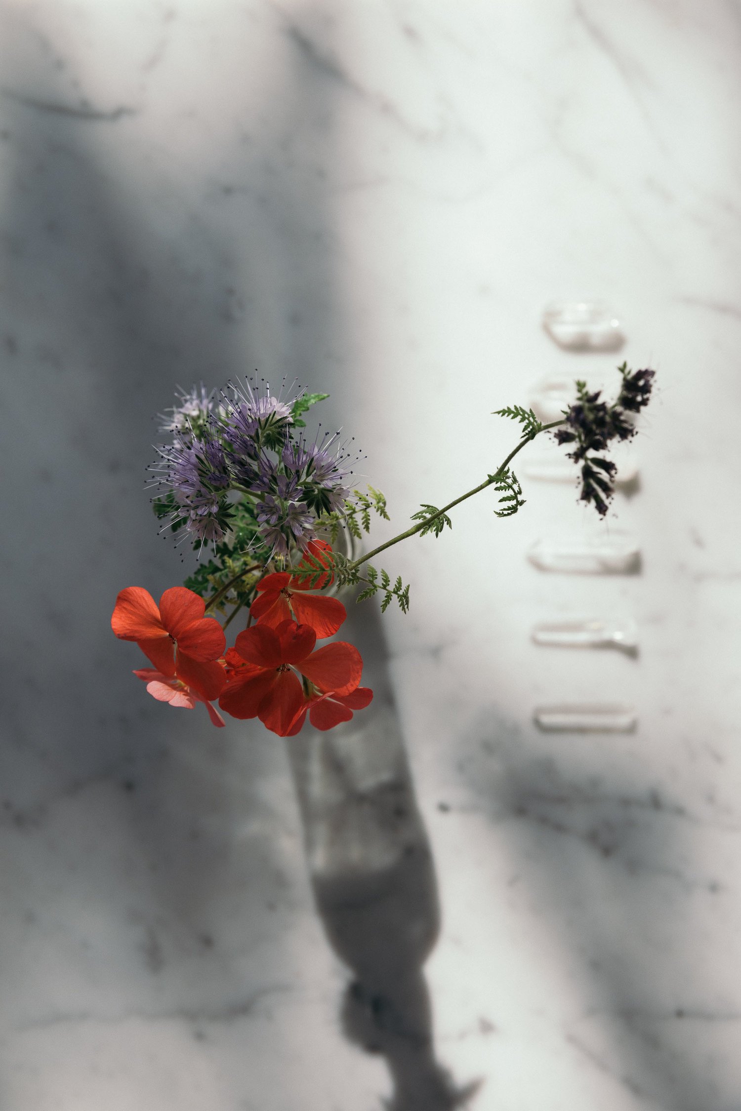 OHM_Still Life_13.jpg
