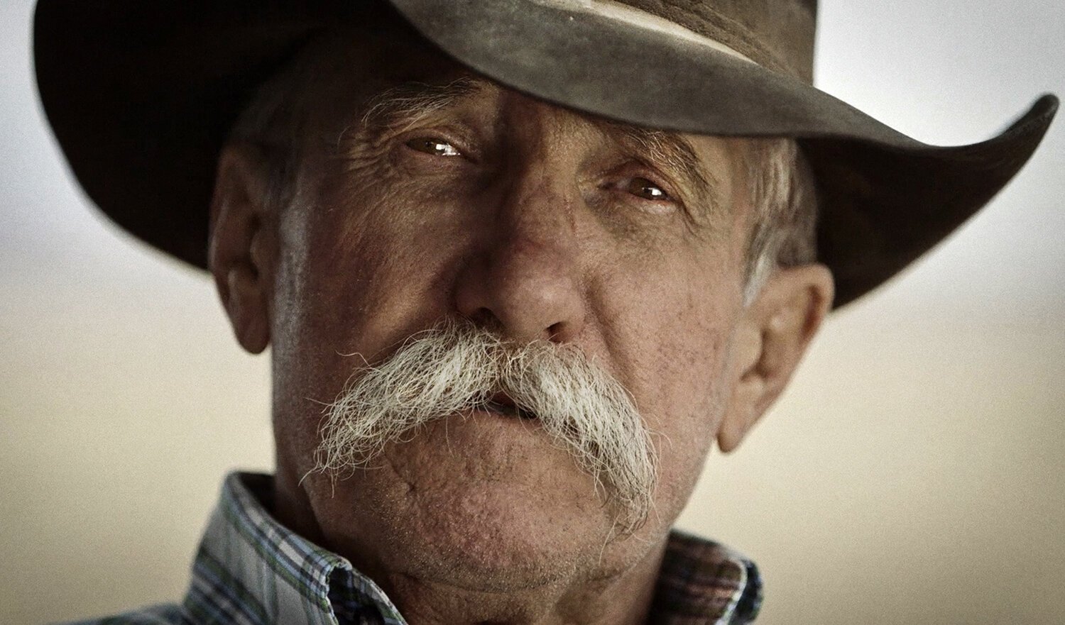 NR_Portraits_02.jpg