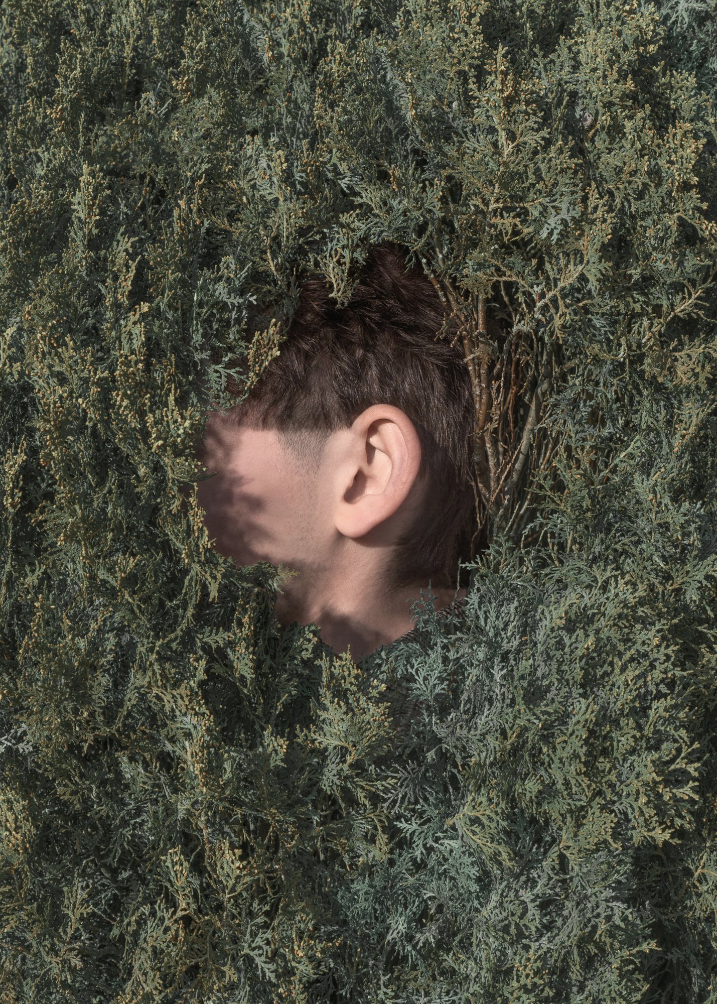 DiDonato.Elsewhere.122.jpg