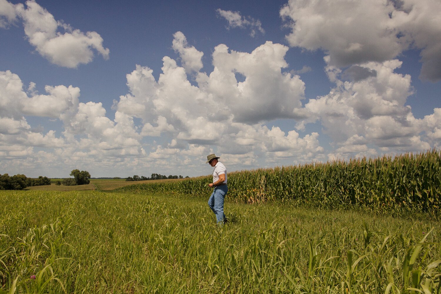 NR_Farmers_02.jpg