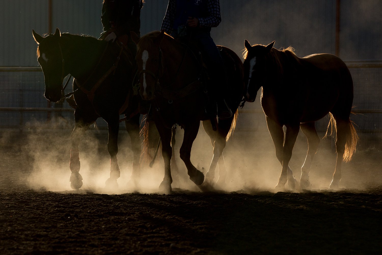 RAGLAND_WEST TEXAS04.jpg