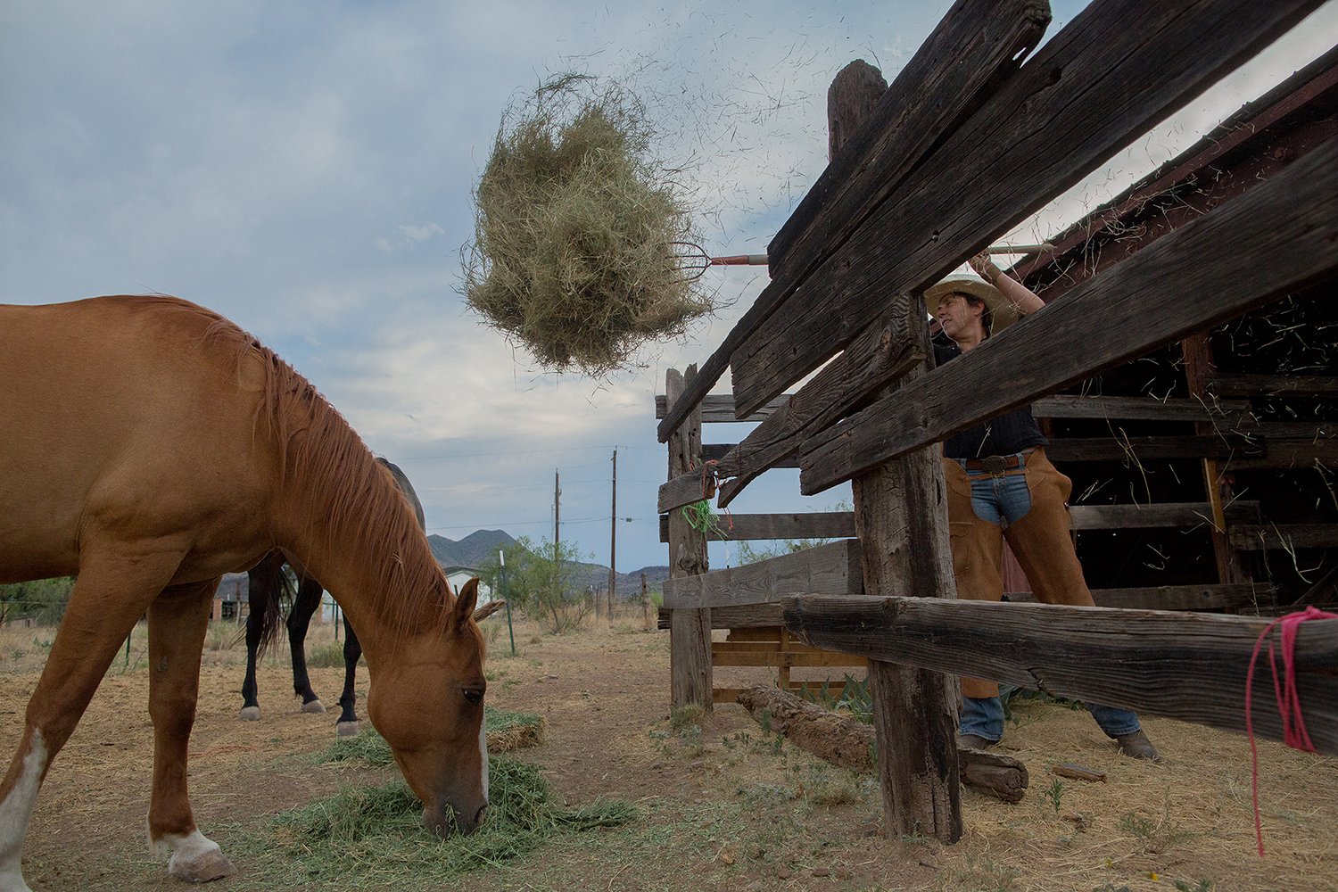 RAGLAND_WEST TEXAS07.jpg