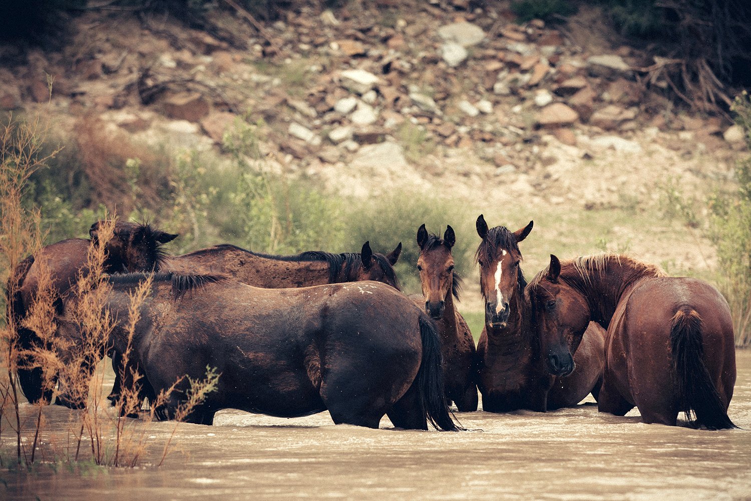 RAGLAND_WEST TEXAS24.jpg