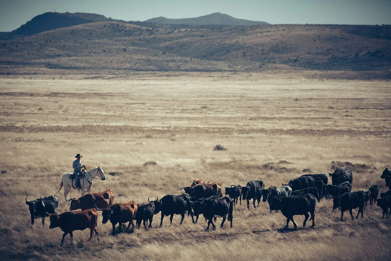 RAGLAND_WEST TEXAS11.jpg