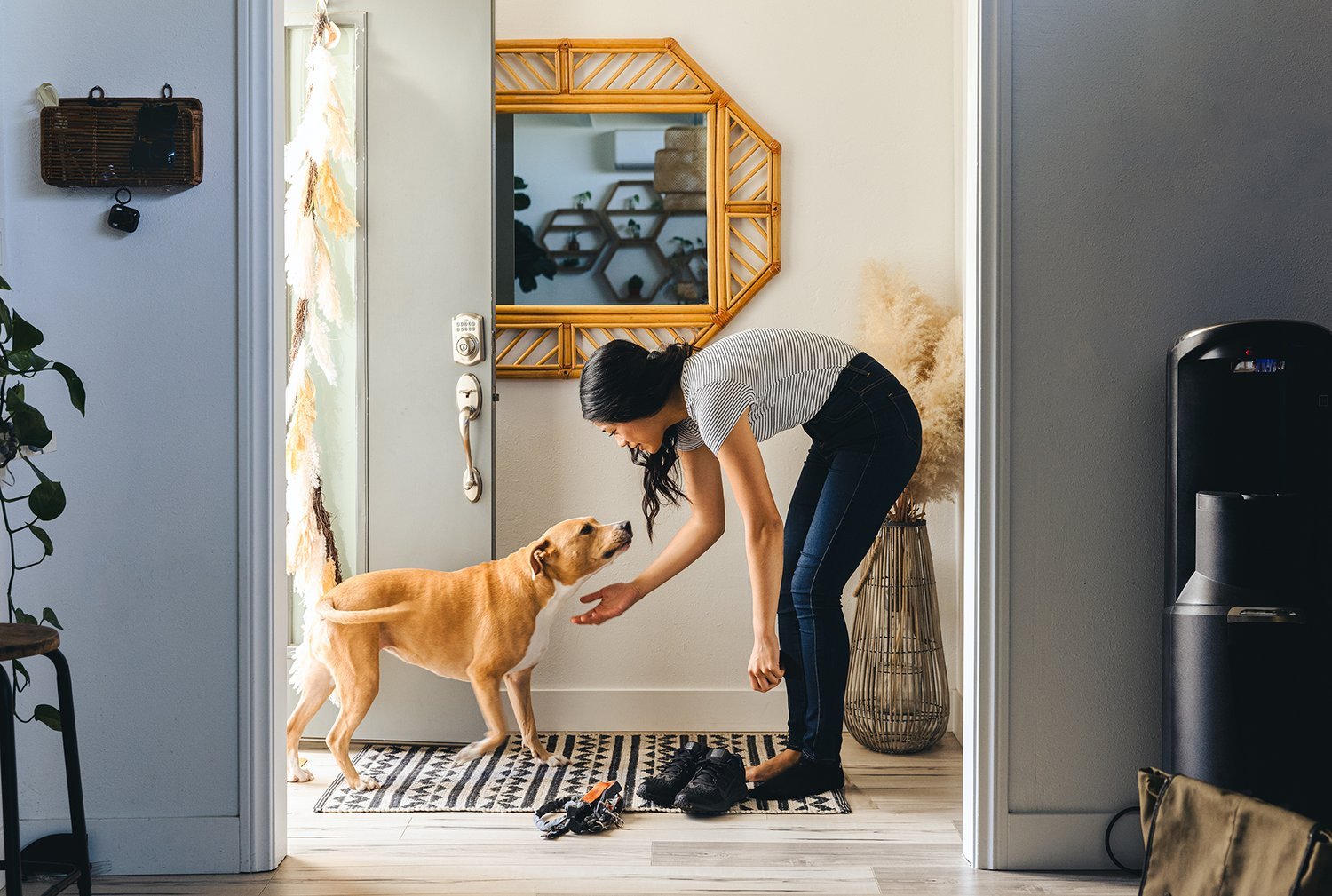 DOG_MOM-13.jpg