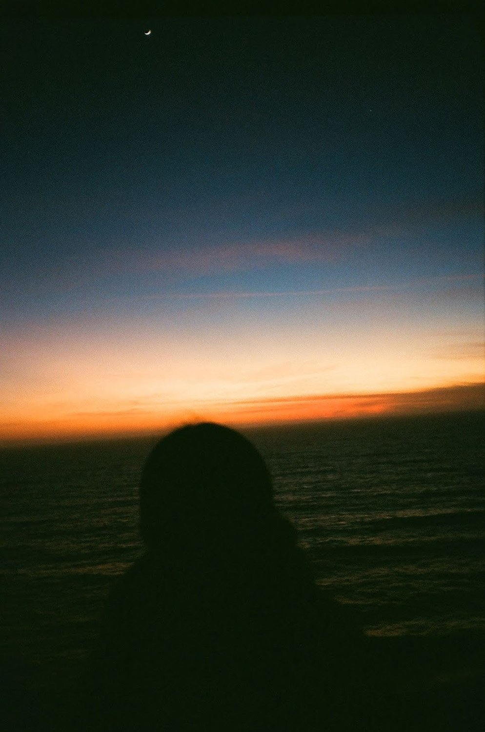 81910020.jpg