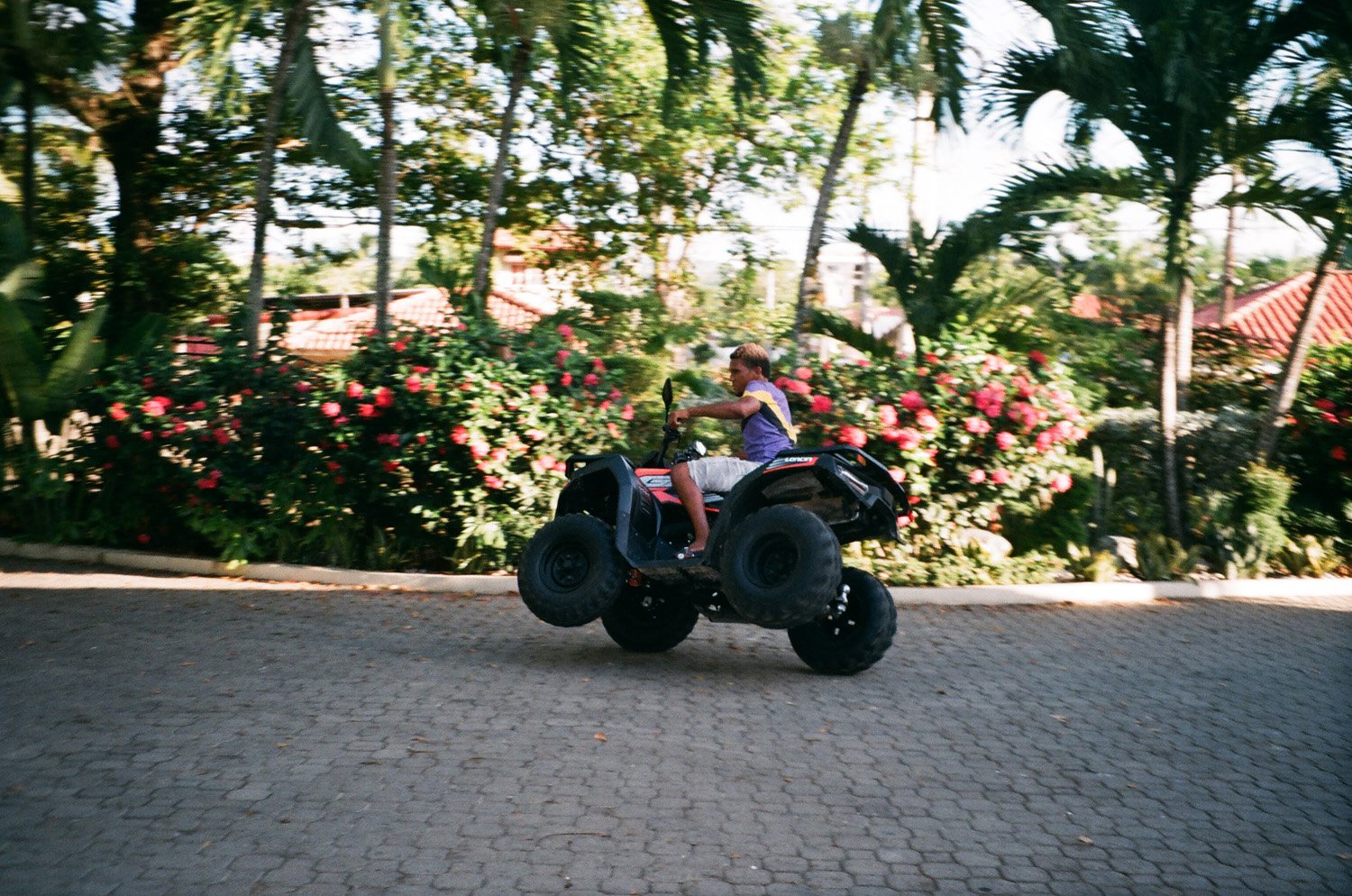 26370036.jpg