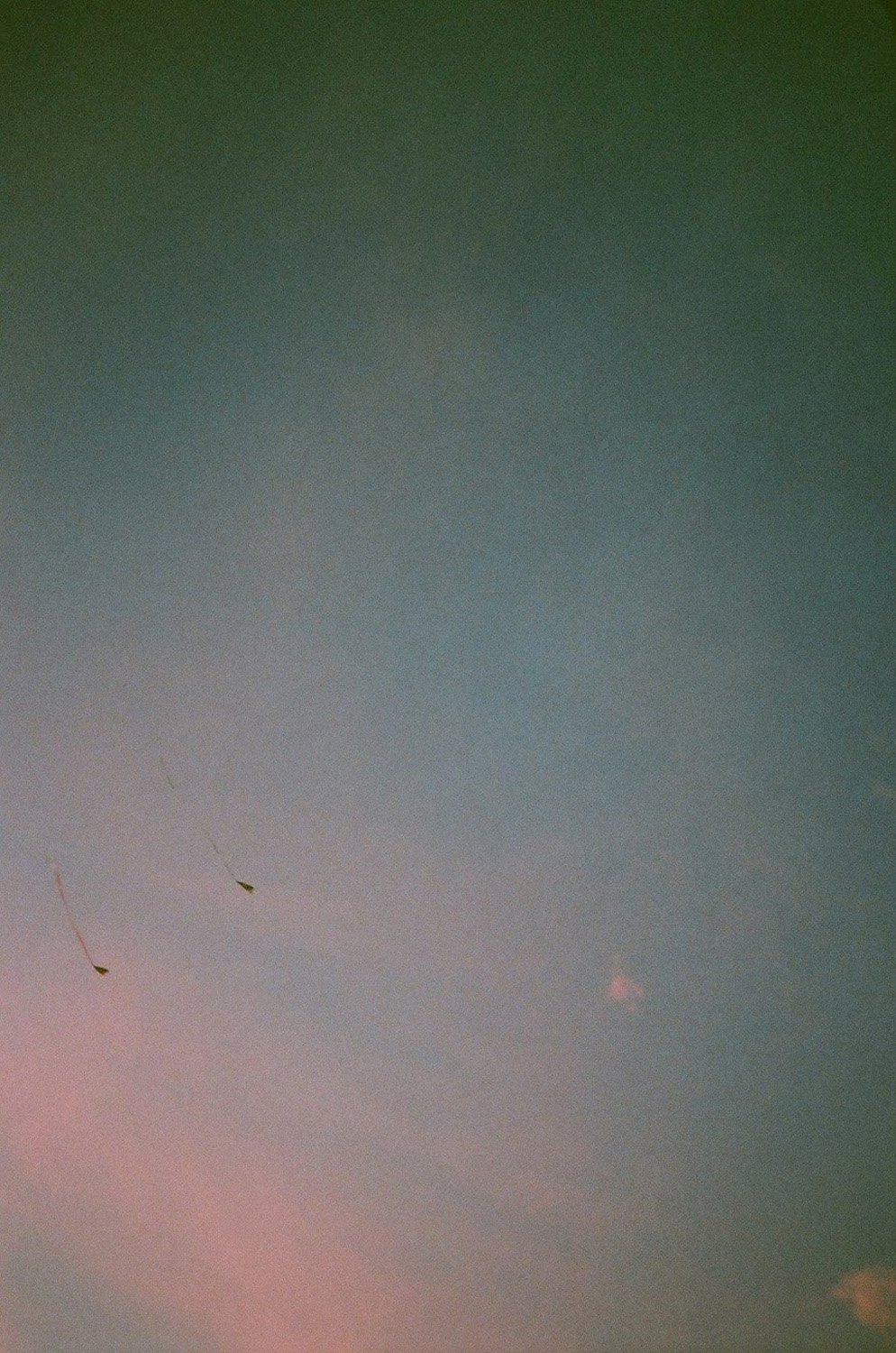 81910017.jpg