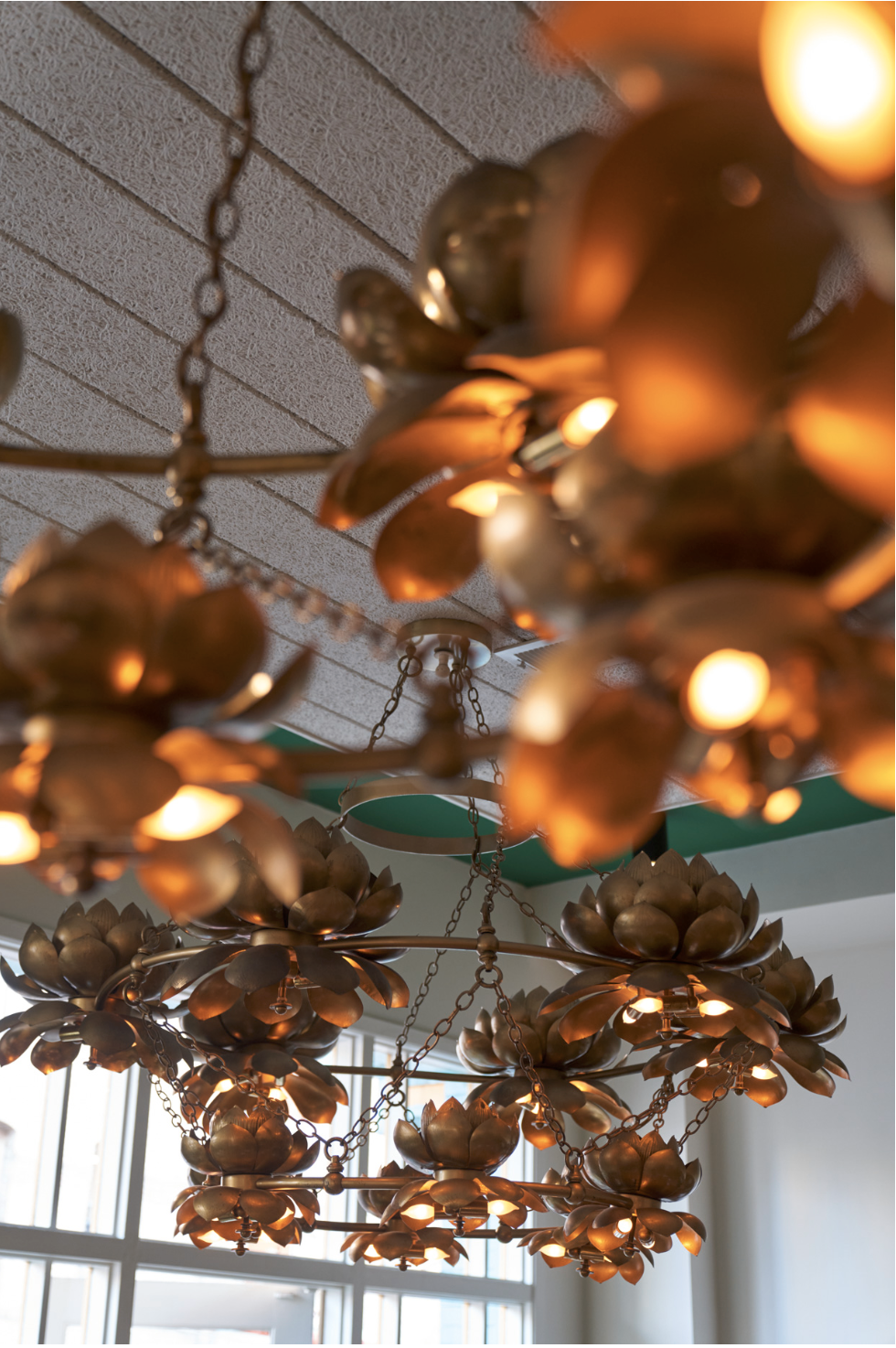 Screen Shot 2023-03-13 at 1.38.53 AM.png