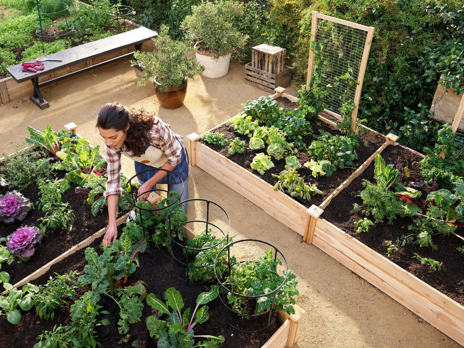 43954_FarmToTableP1_Home_PatioGarden_JensenByrd_32077.jpg