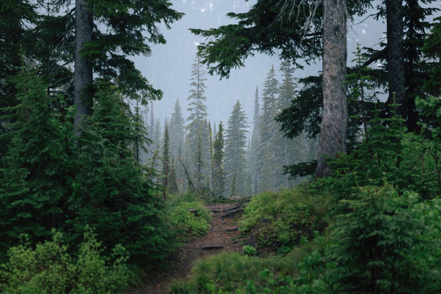 TOIC_Shot_06_DawnCampsite_135-Edit-DeNoiseAI-standard.jpg