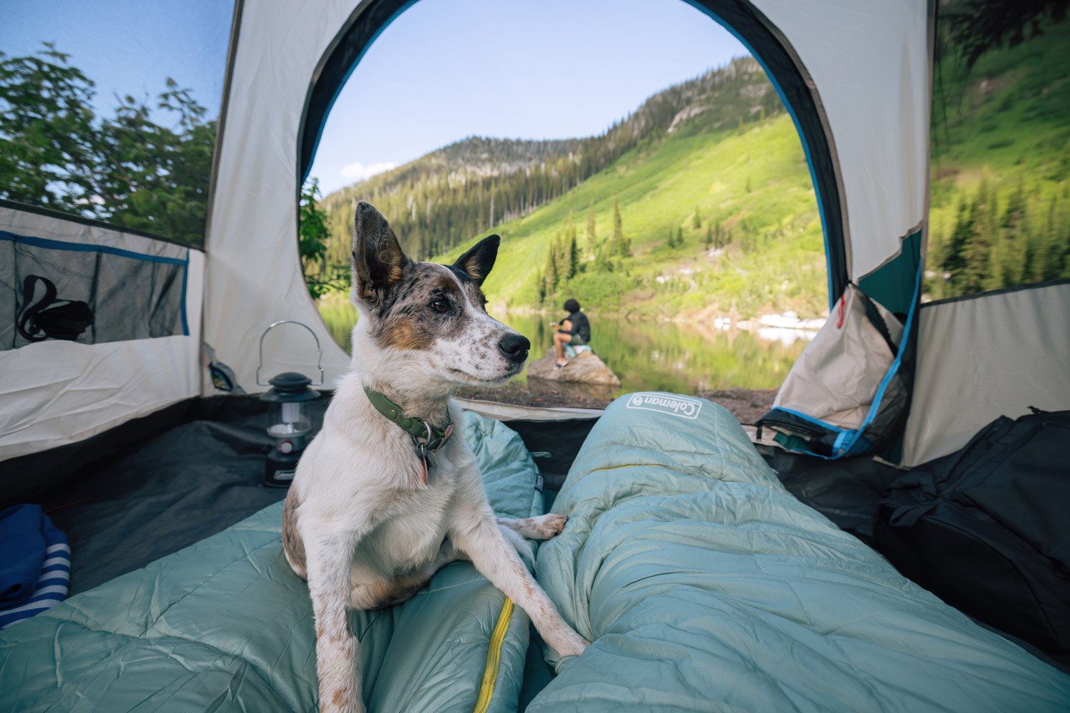 TOIC_Shot_06_TentPOV_069-Edit-DeNoiseAI-standard.jpg