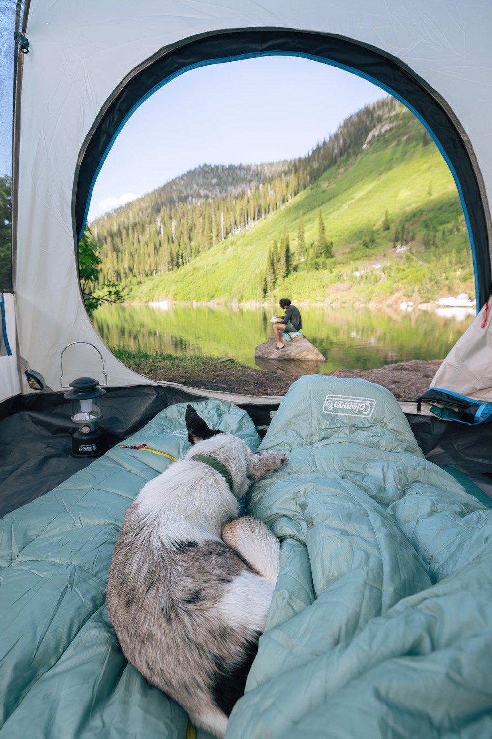 TOIC_Shot_06_TentPOV_087-Edit-DeNoiseAI-standard.jpg