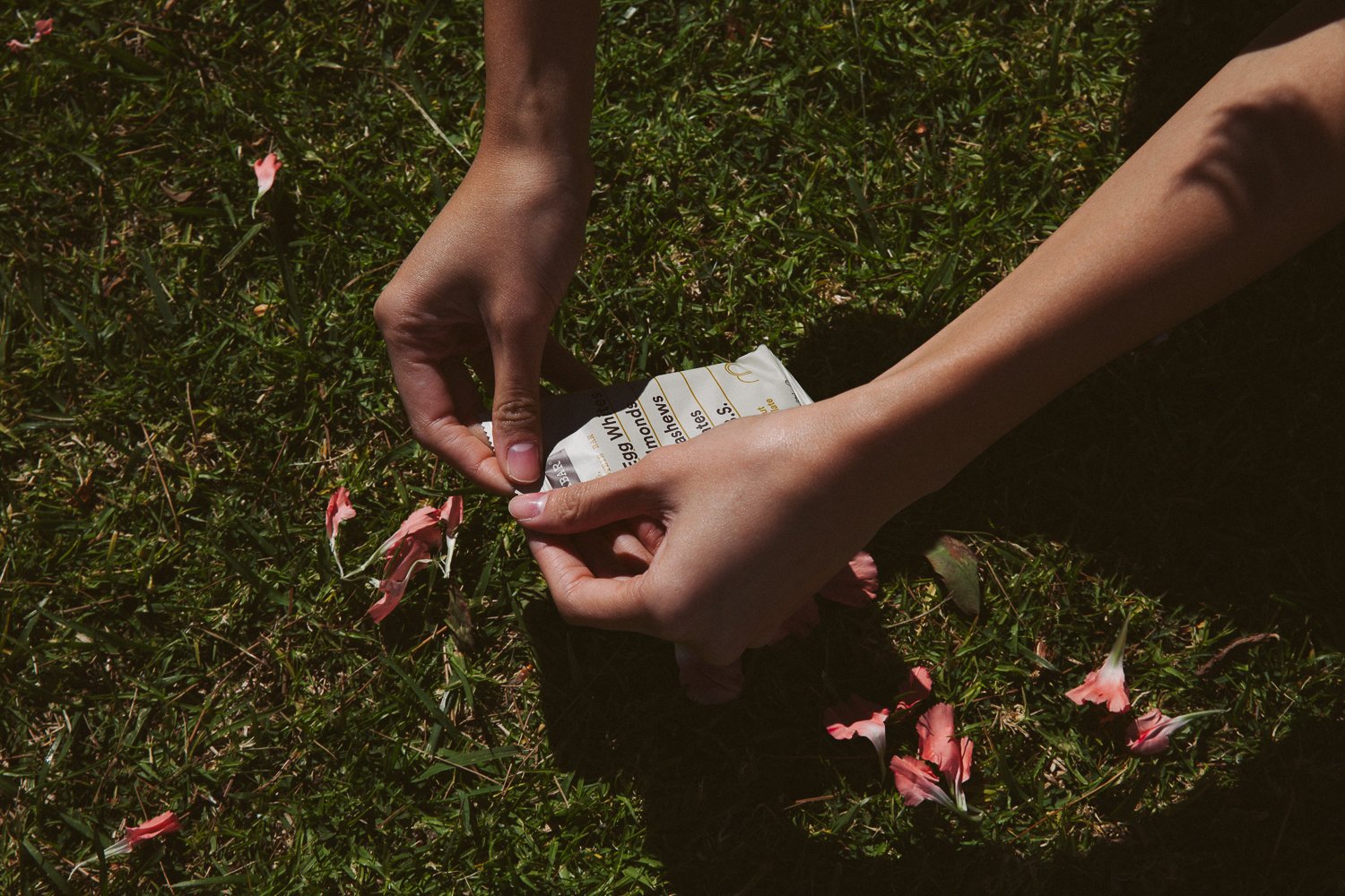 DescribeTheFauna_TestShoot_CostaMesa_unretouched-57.jpg