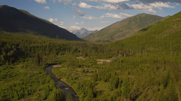 Forrest Mankins_Coleman TOIC_30 sec. Edits Daytime- 1.v3_4K-3840x2160