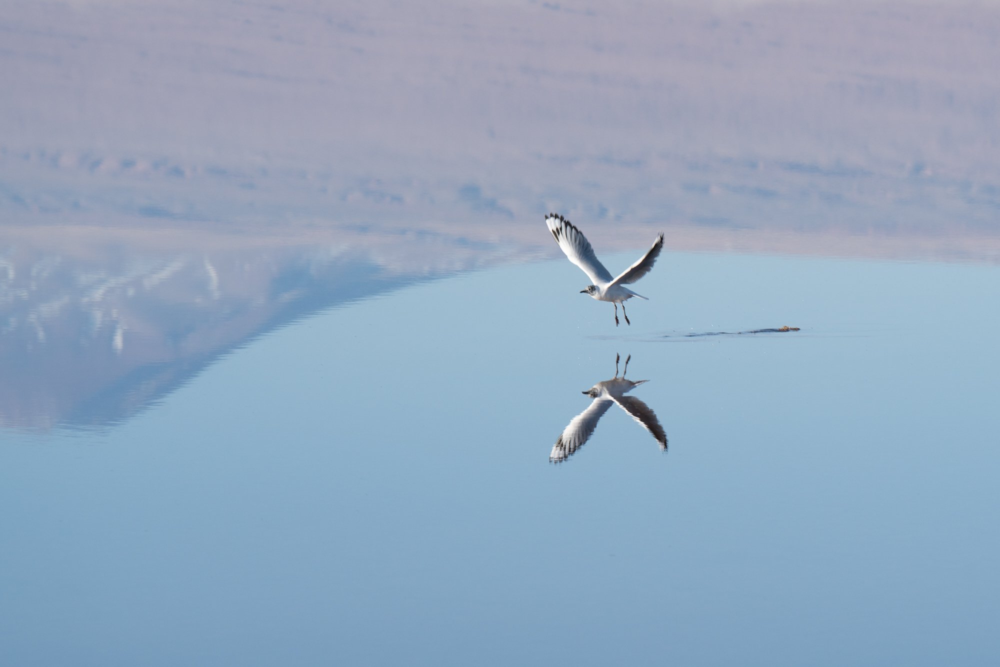chs0030_saphire seven_atacama_mirror lake-20.jpg