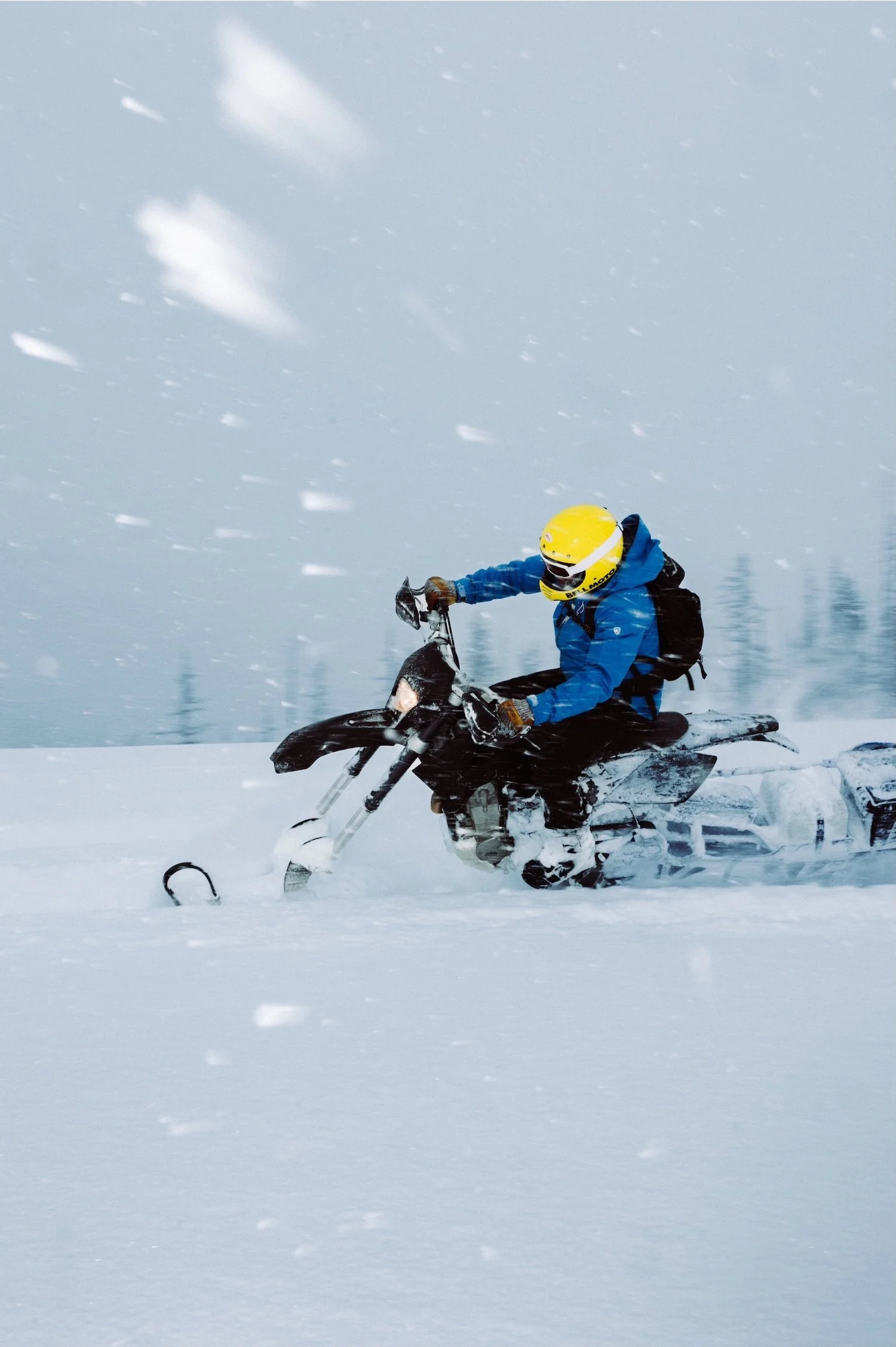 photo-output_2 copy.JPG