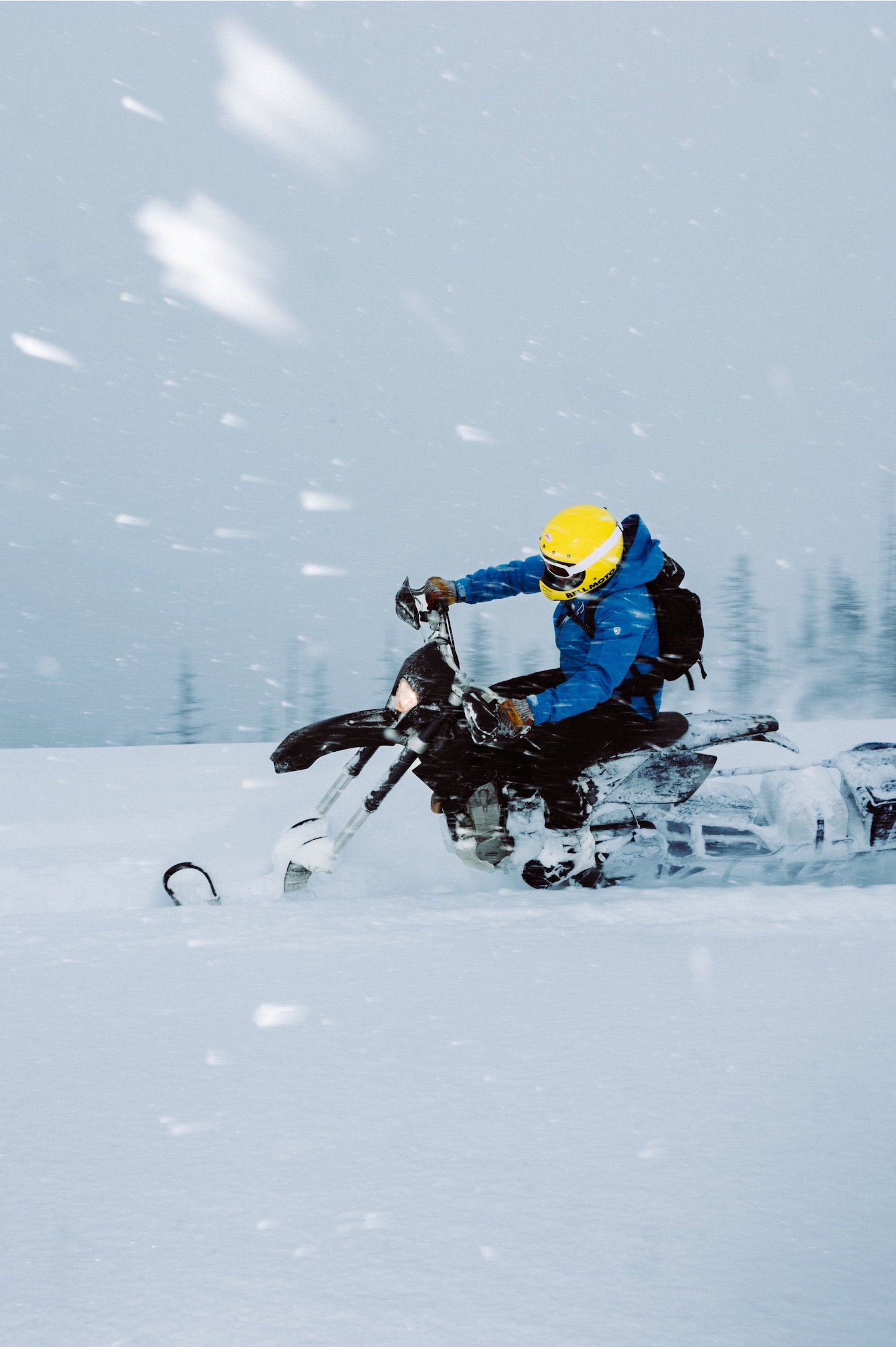 photo-output_2 copy.JPG