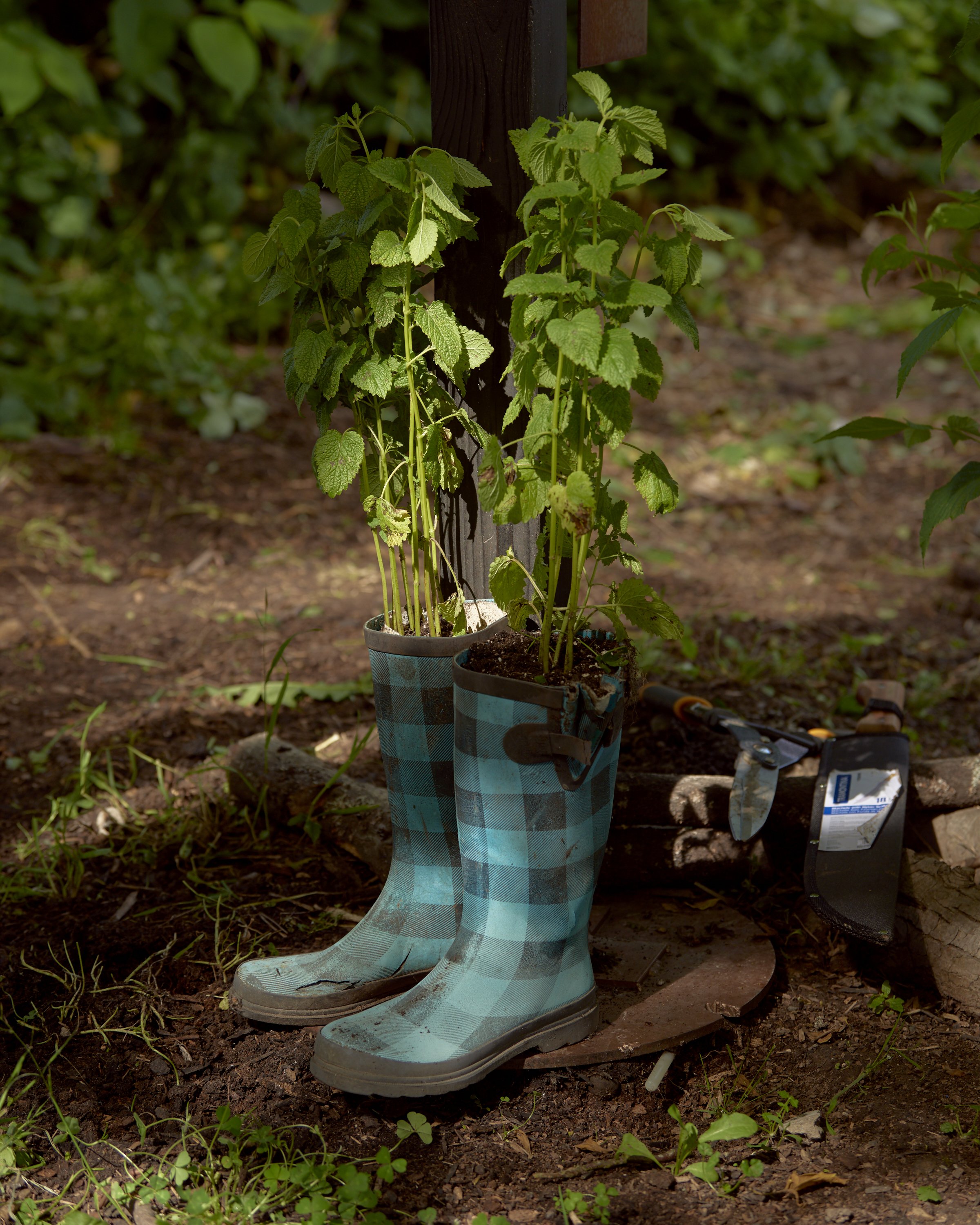 NURTURING_ROOTS_05_05_2020_210.jpg