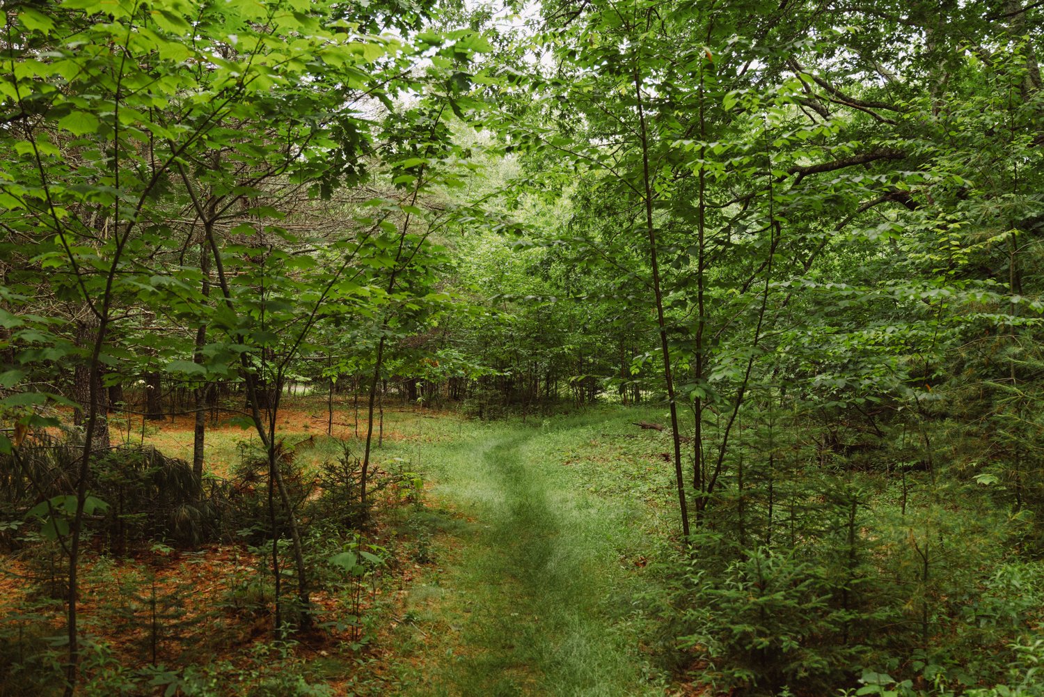 20230711_Maine_541.jpg