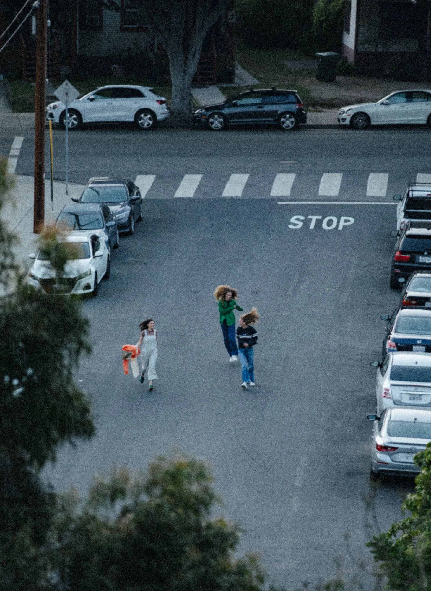 DescribeTheFauna_Echoes-13 copy.jpg