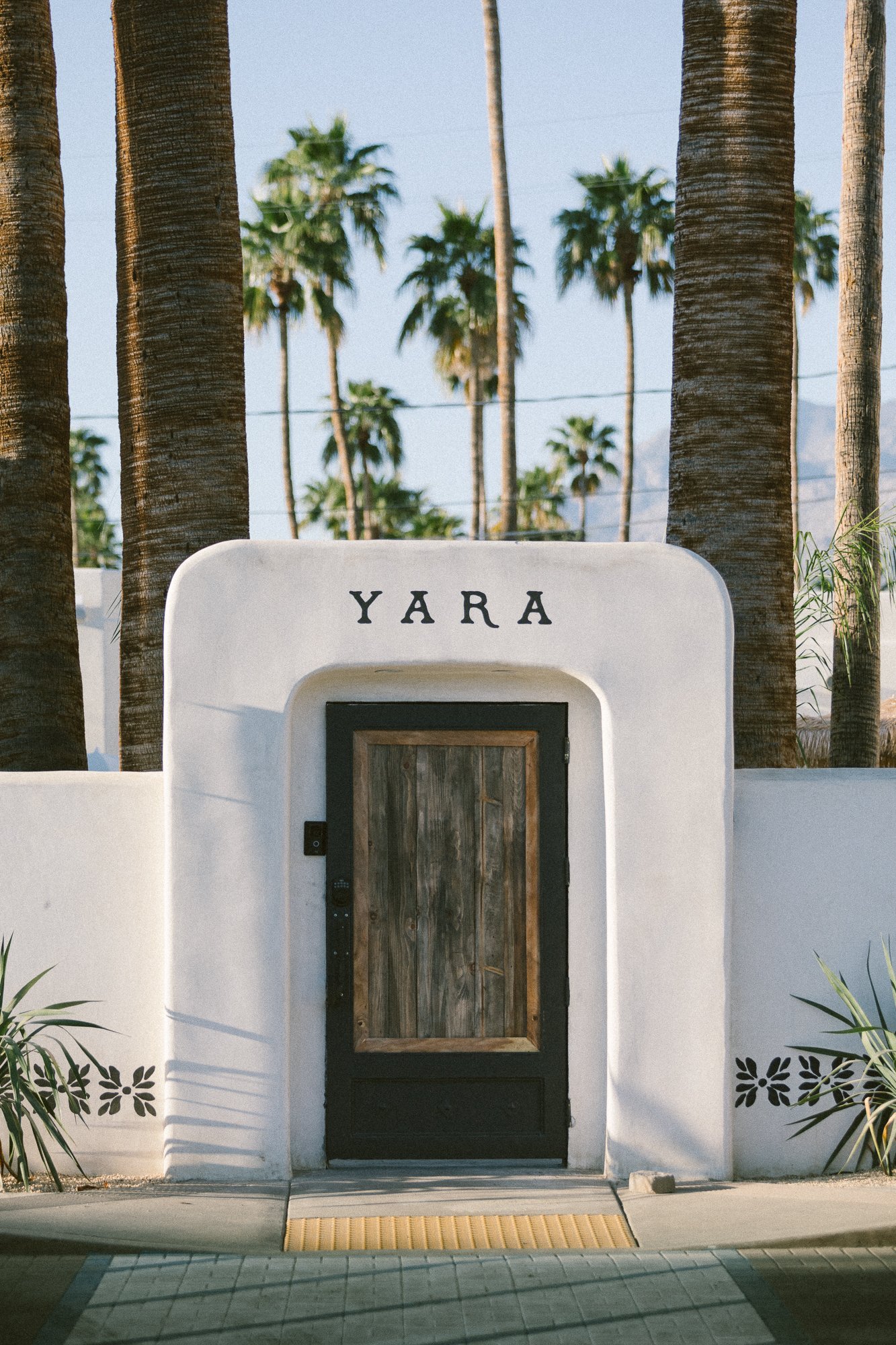 DescribeTheFauna_Yara_Gallery-0956.jpg