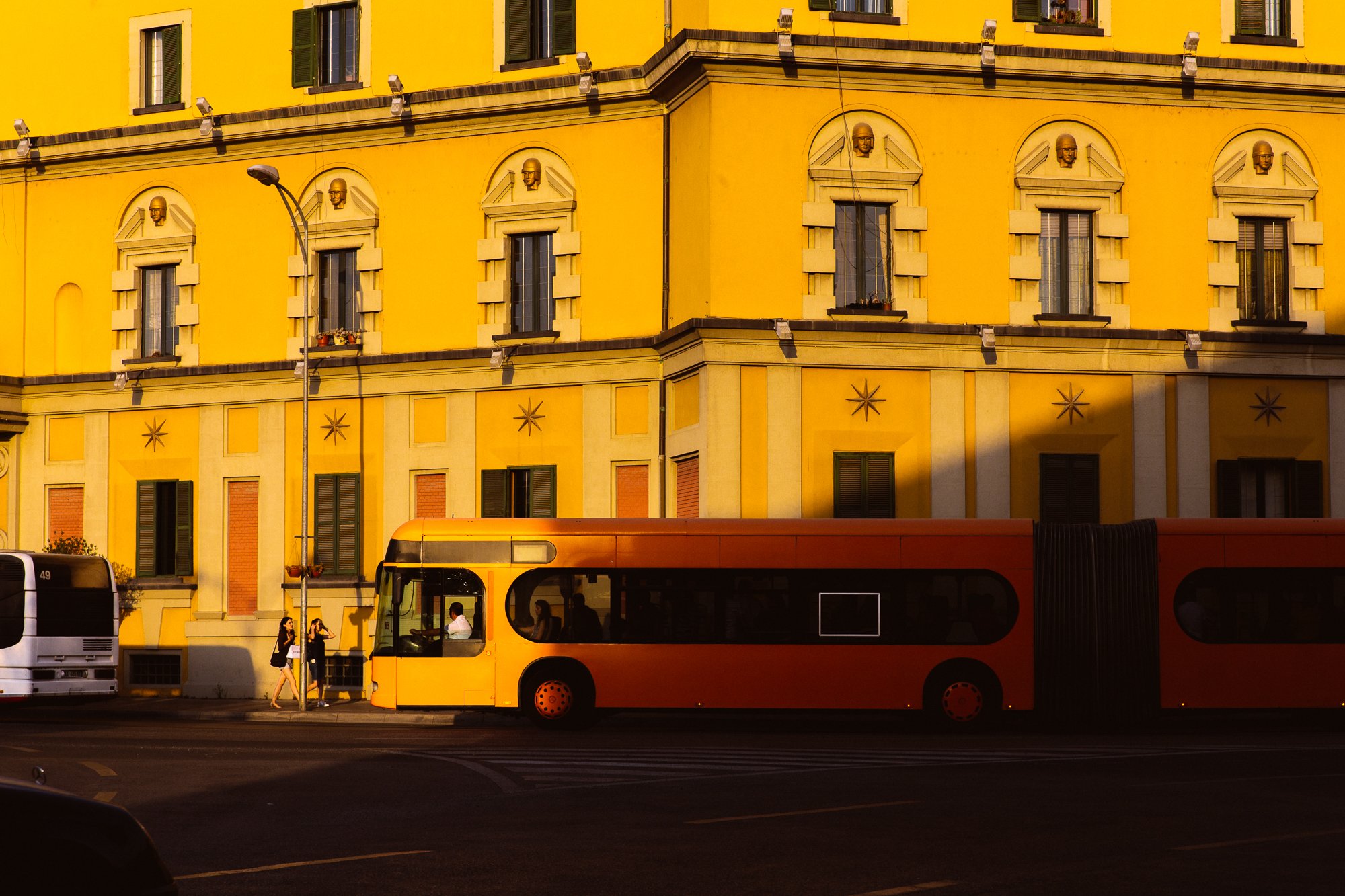 DescribeTheFauna_Adriatic-22.jpg