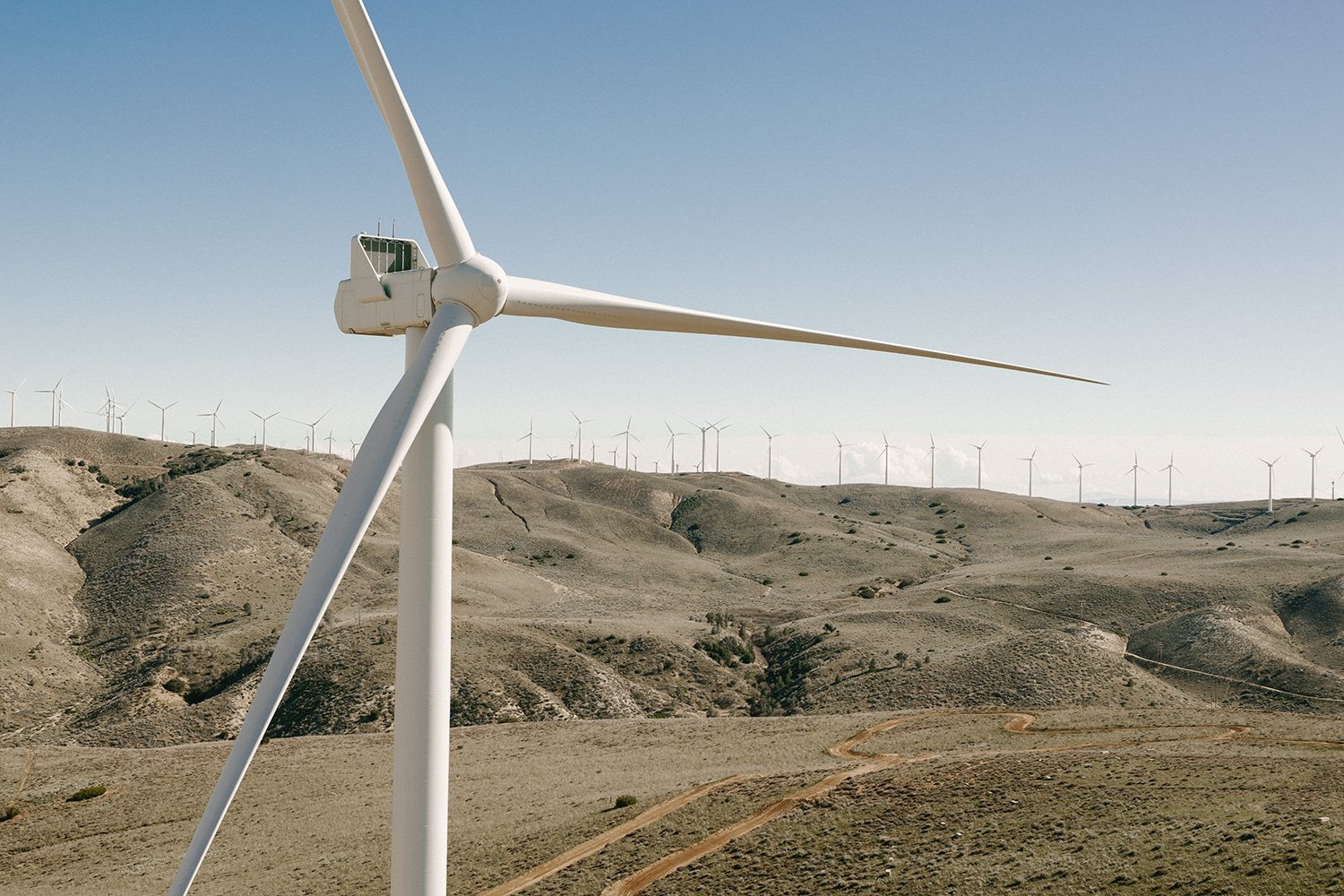 WWS2024_USA_Tehachapi_CarbonFreeEnergy_WindWall_Trinca_0481.jpg