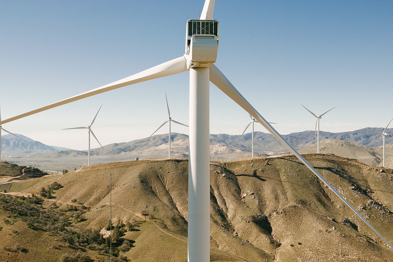 WWS2024_USA_Tehachapi_CarbonFreeEnergy_WindWall_Trinca_0553.jpg