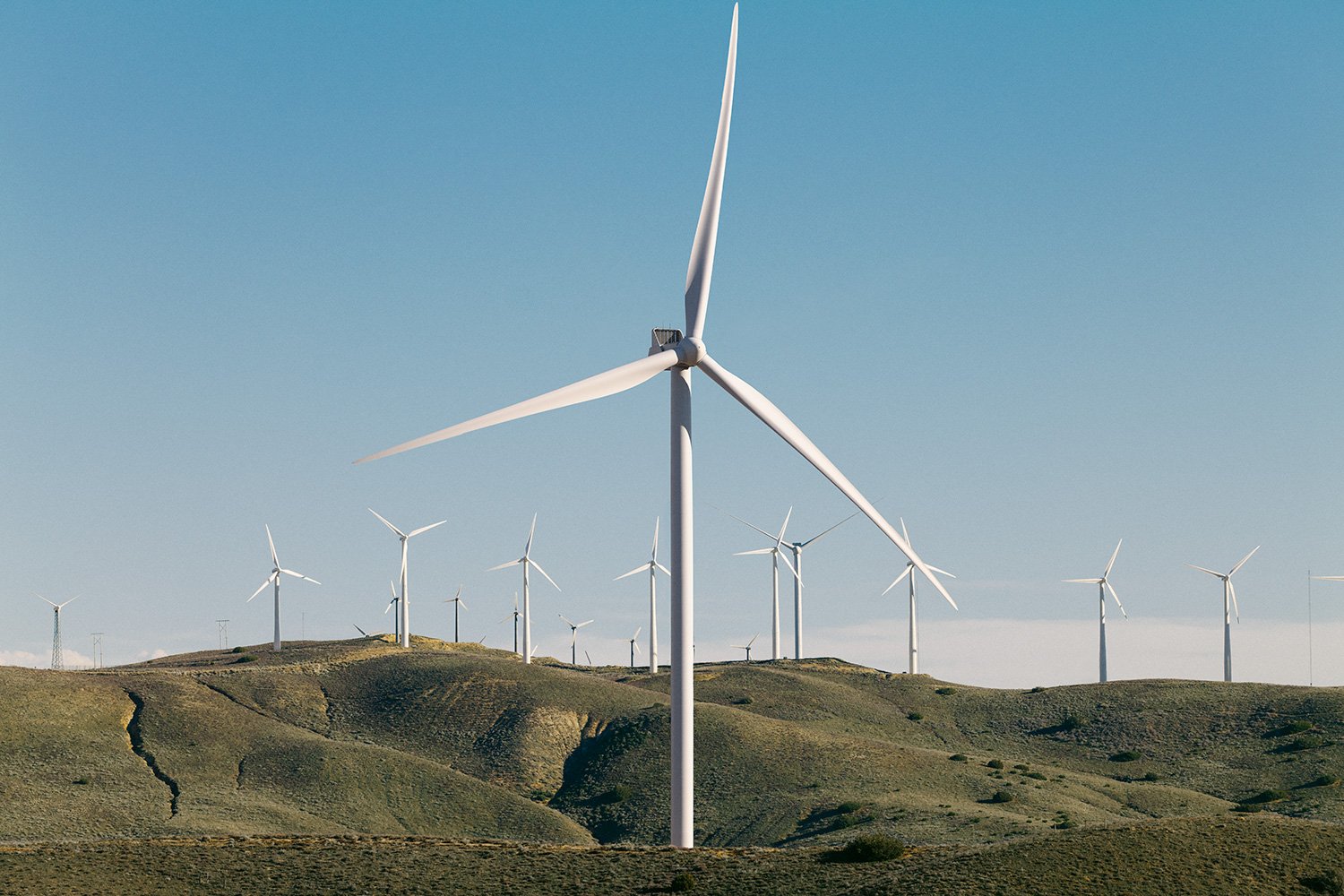 WWS2024_USA_Tehachapi_CarbonFreeEnergy_WindWall_Trinca_1414.jpg