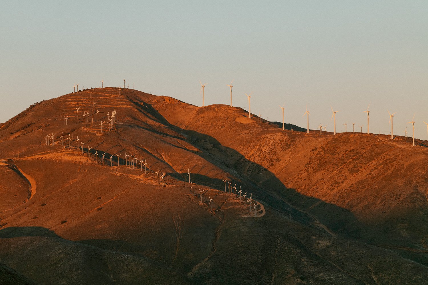 WWS2024_USA_Tehachapi_CarbonFreeEnergy_WindWall_Trinca_1482.jpg