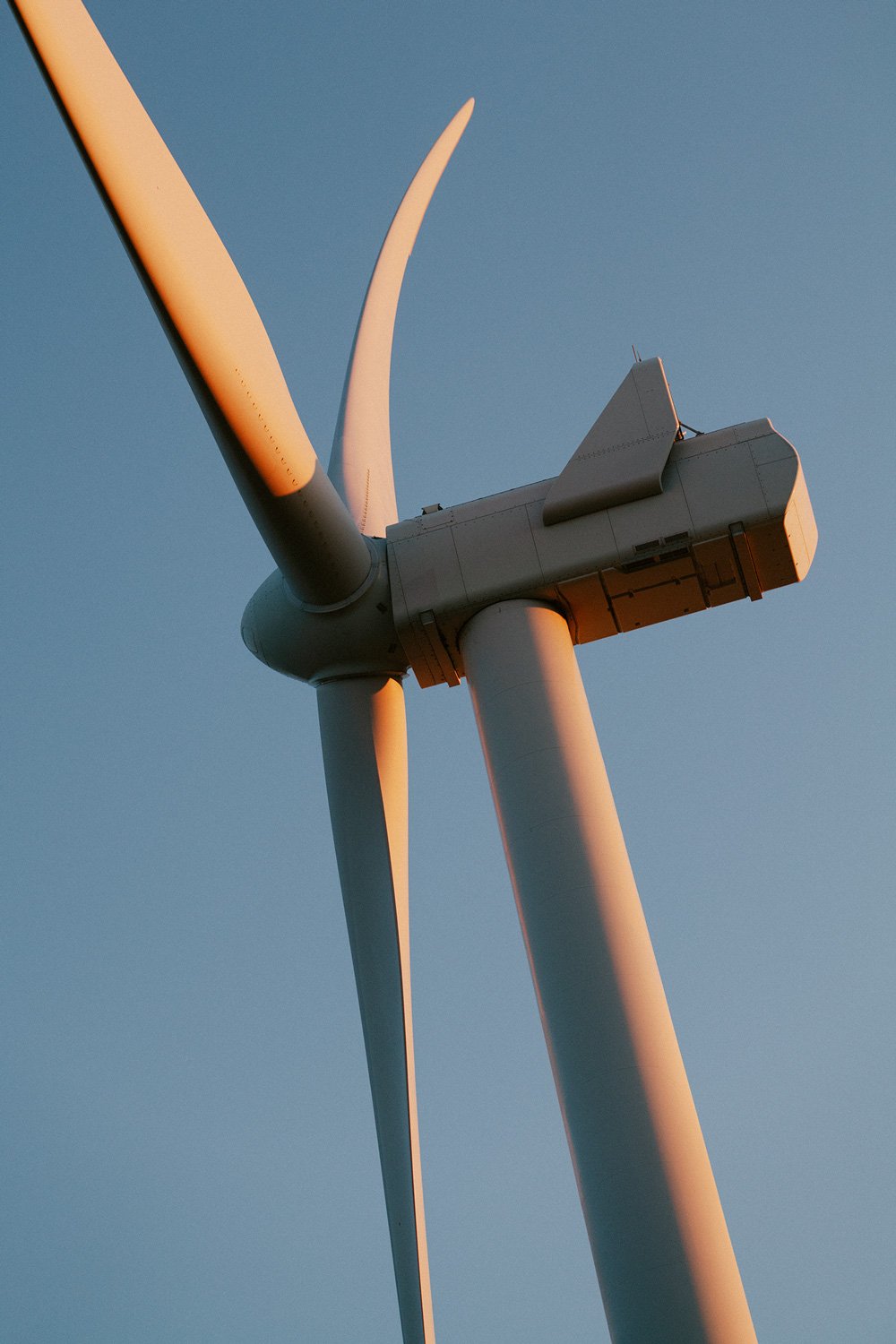WWS2024_USA_Tehachapi_CarbonFreeEnergy_WindWall_Trinca_1558.jpg