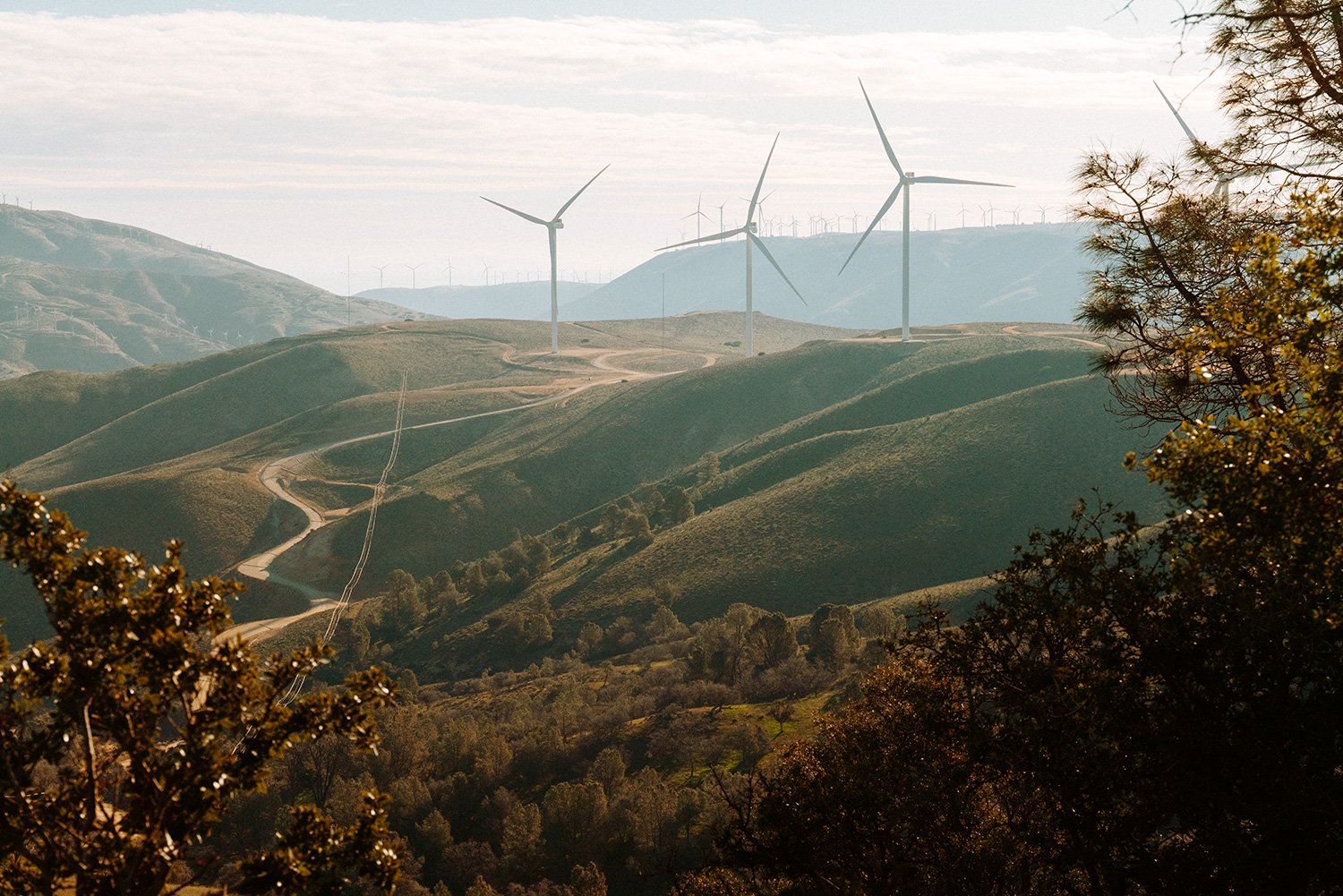 WWS2024_USA_Tehachapi_CarbonFreeEnergy_WindWall_Trinca_1959.jpg
