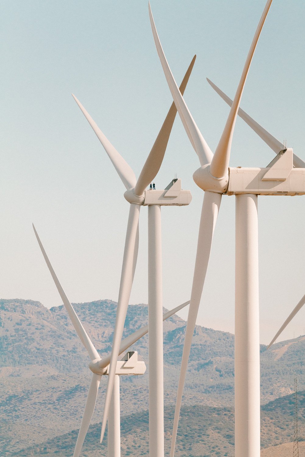 WWS2024_USA_Tehachapi_CarbonFreeEnergy_WindWall_Trinca_2048.jpg