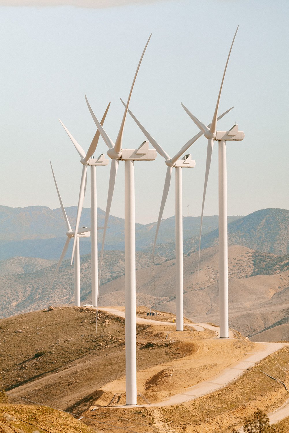 WWS2024_USA_Tehachapi_CarbonFreeEnergy_WindWall_Trinca_2071.jpg