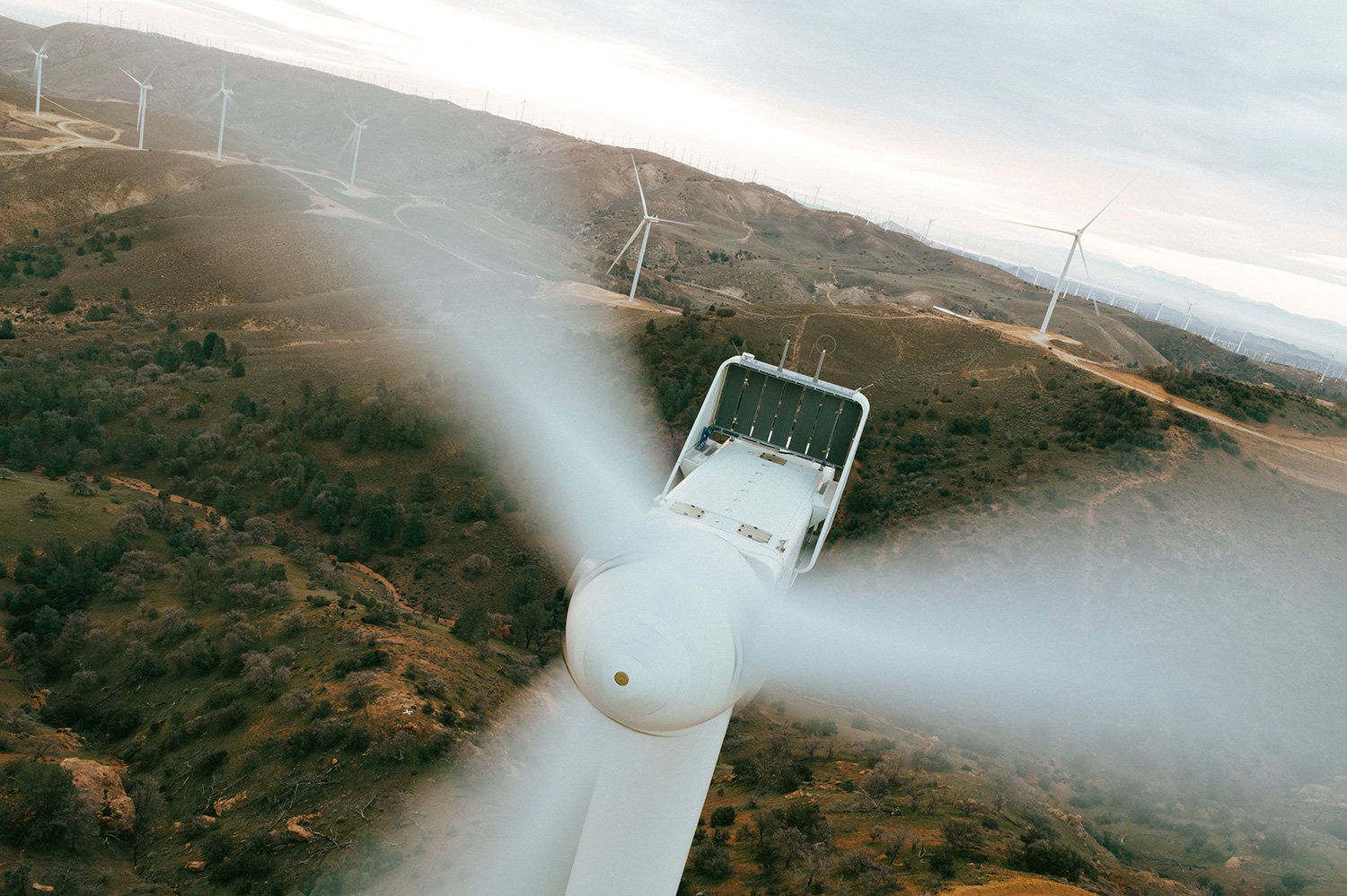 WWS2024_USA_Tehachapi_CarbonFreeEnergy_WindWall_Trinca_2446.jpg