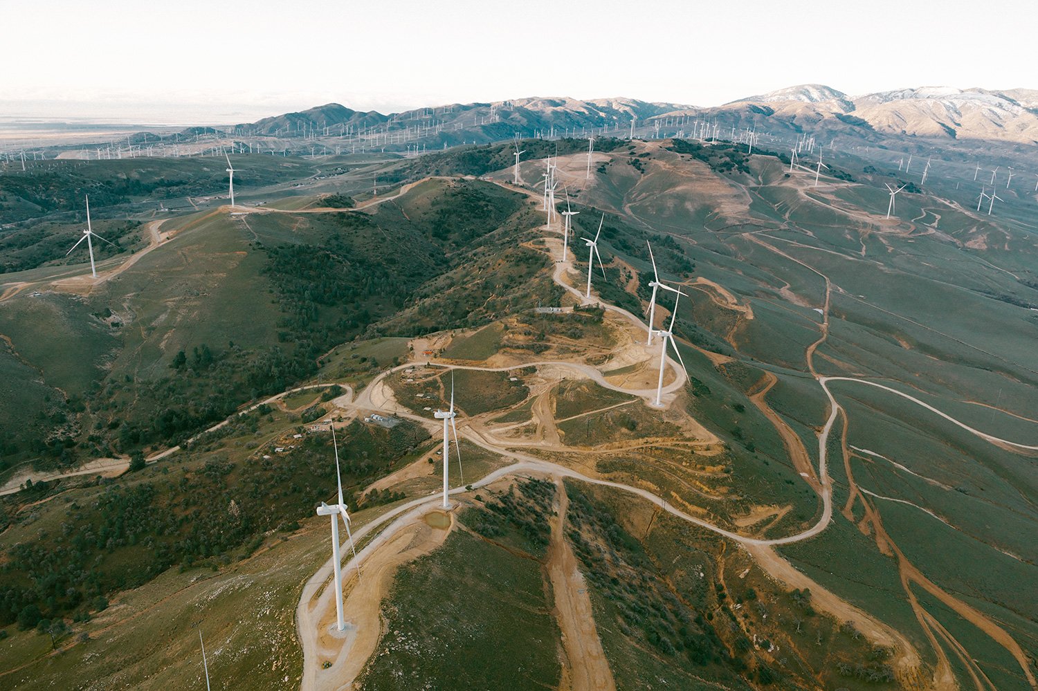 WWS2024_USA_Tehachapi_CarbonFreeEnergy_WindWall_Trinca_2599.jpg