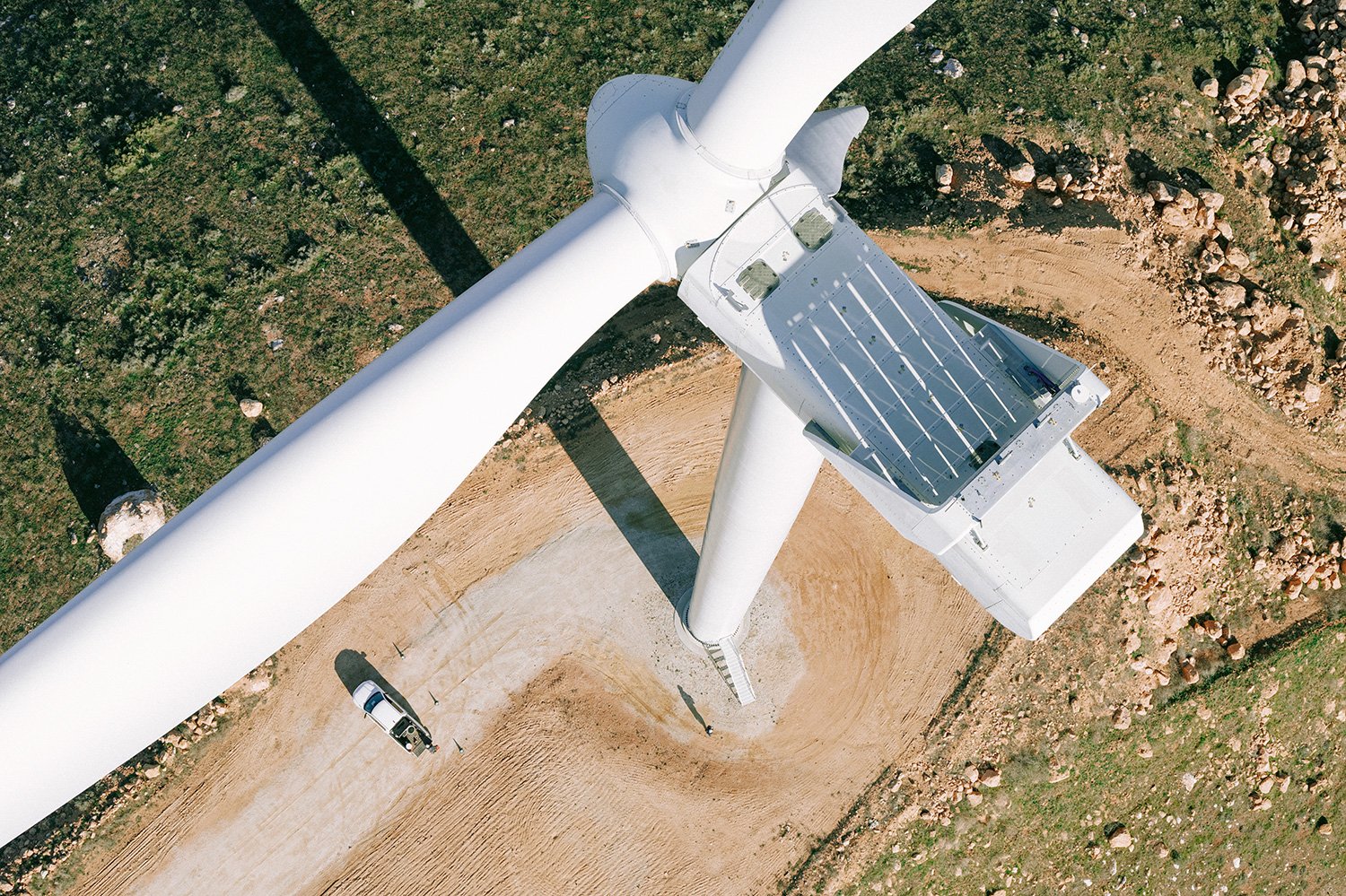 WWS2024_USA_Tehachapi_CarbonFreeEnergy_WindWall_Trinca_2657.jpg