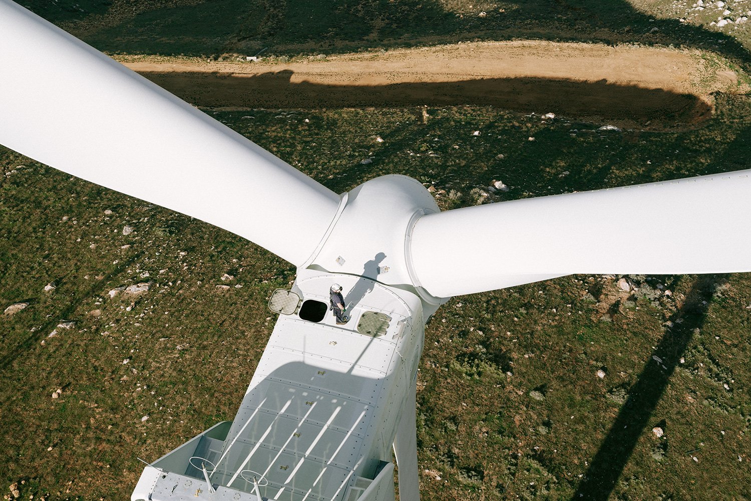 WWS2024_USA_Tehachapi_CarbonFreeEnergy_WindWall_Trinca_2734.jpg