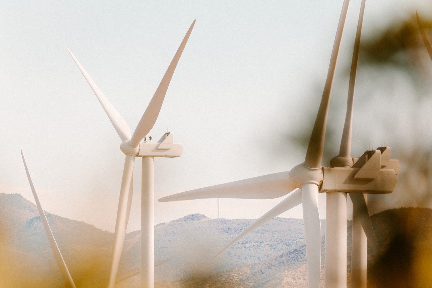 WWS2024_USA_Tehachapi_CarbonFreeEnergy_WindWall_Trinca_1971.jpg